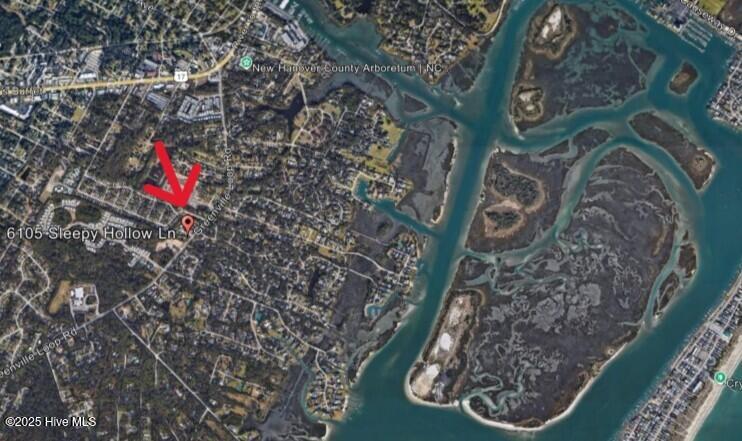 100541424 | Photo 38