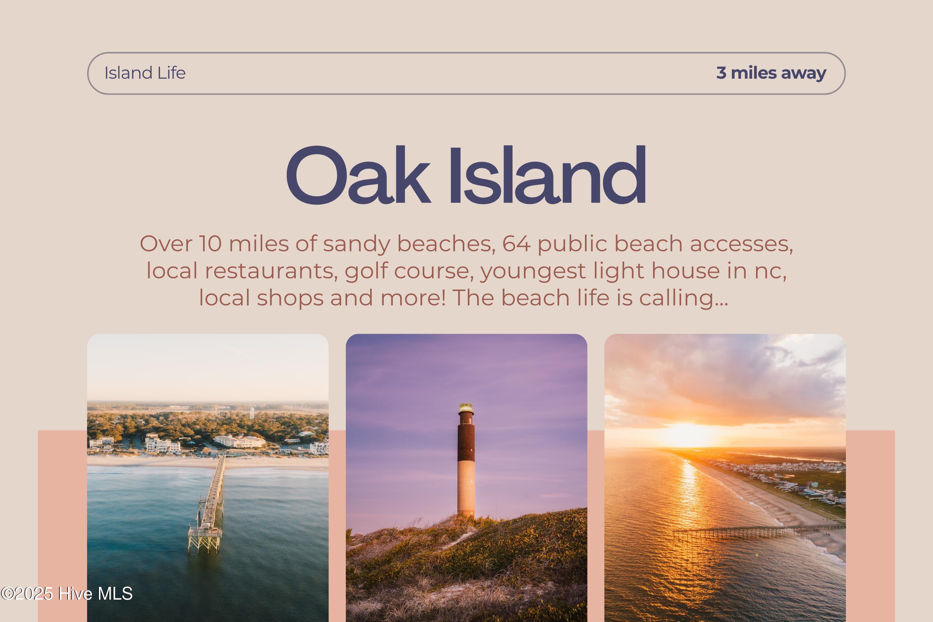 100535448 | Photo 15