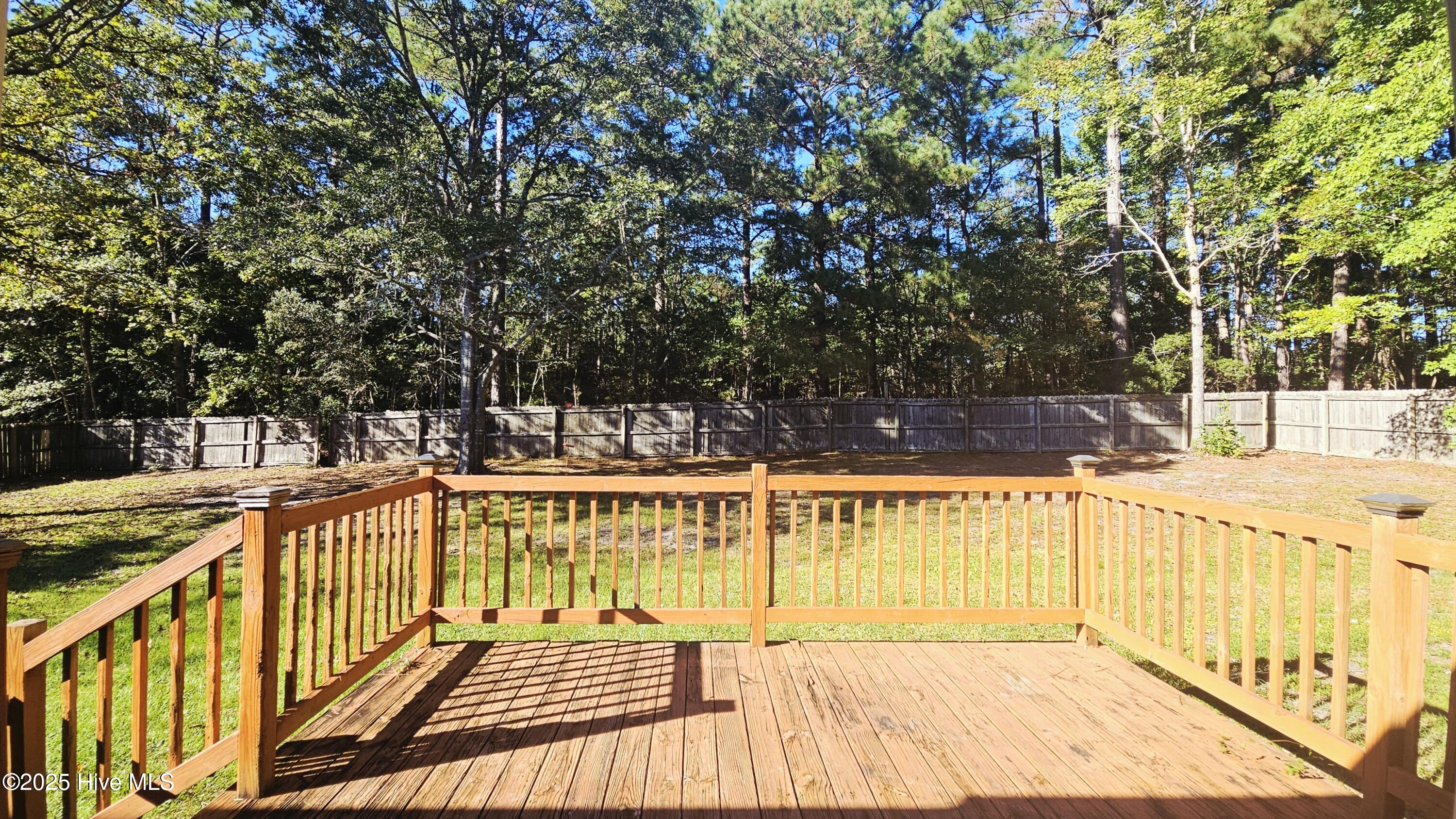 234 Natalie Lane, Hubert, NC 28539 – photo 18: Deck