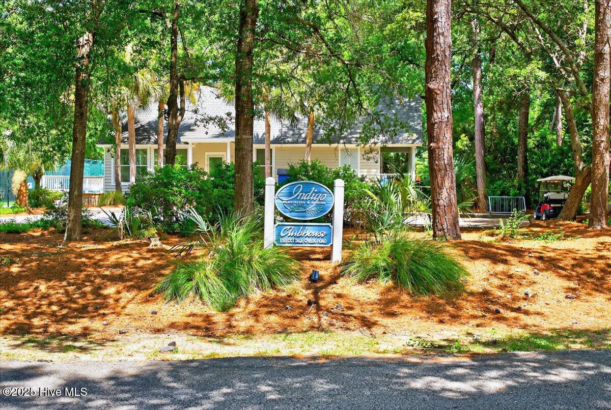 100518742 | Photo 54