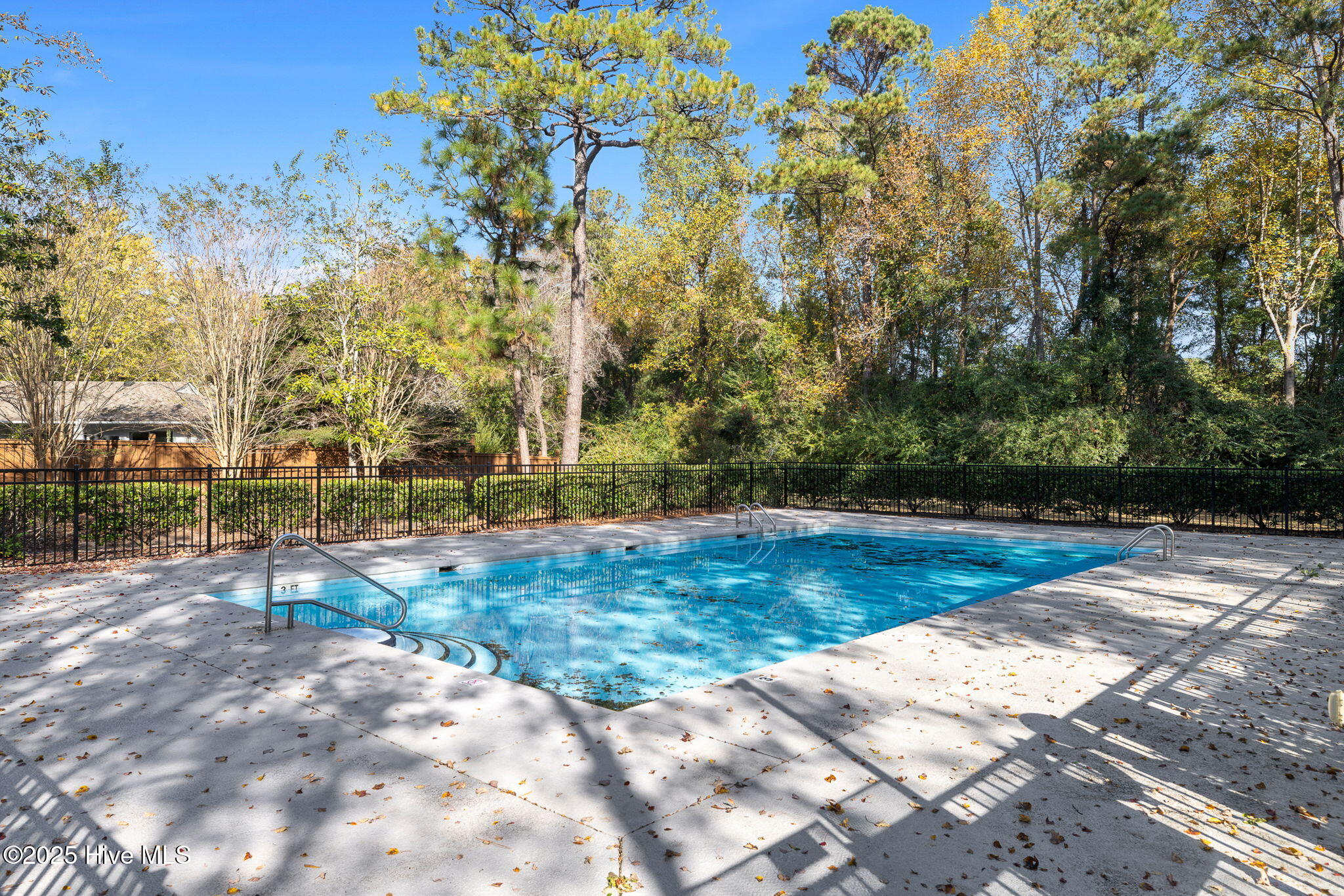 100539672 | Photo 35