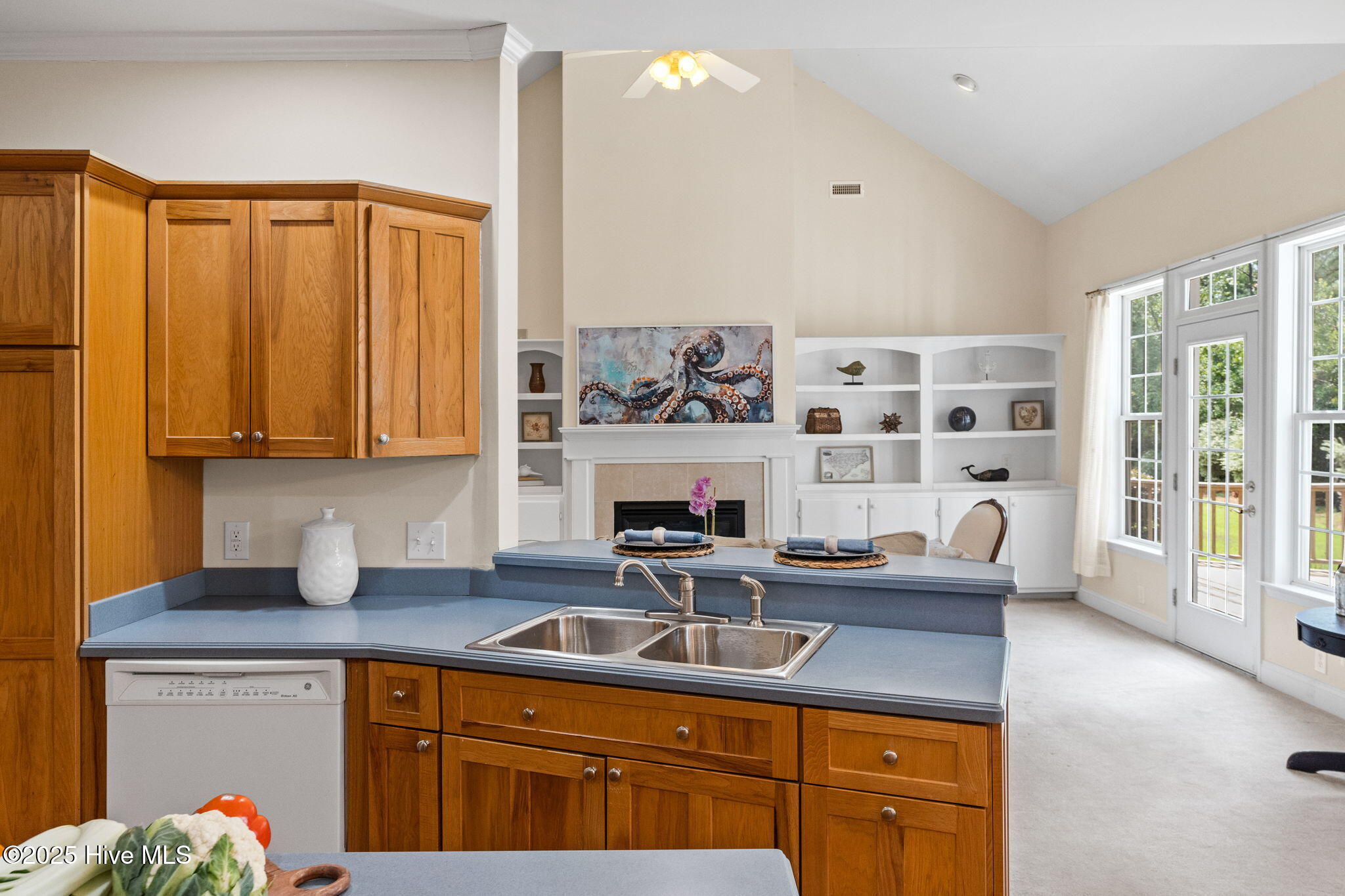 100523861 | Photo 18