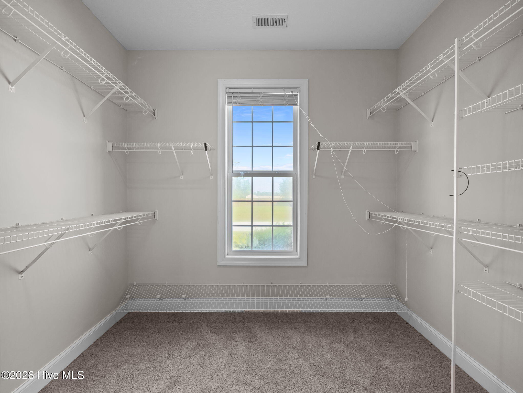 100568078 | Photo 10