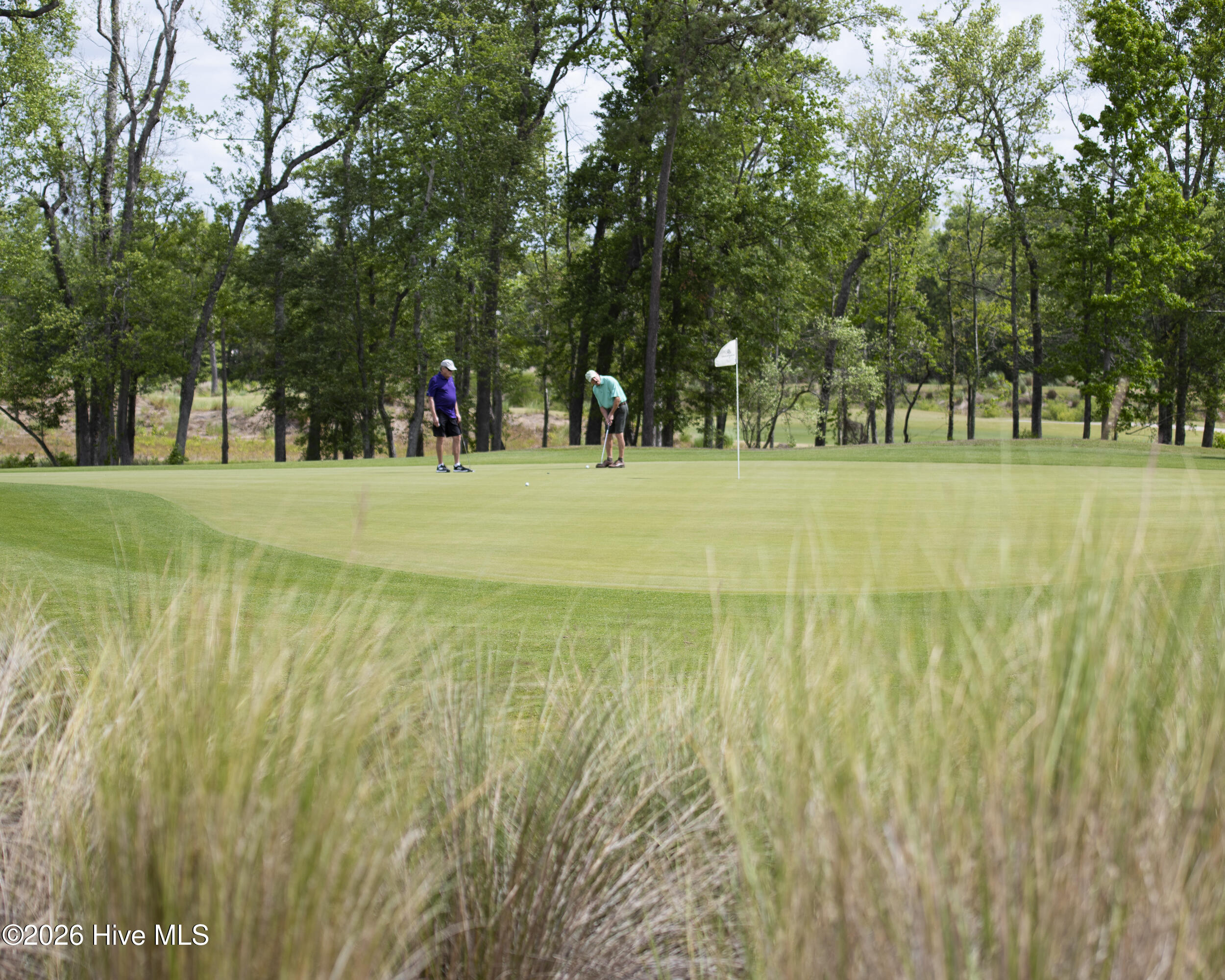 100550299 | Photo 59