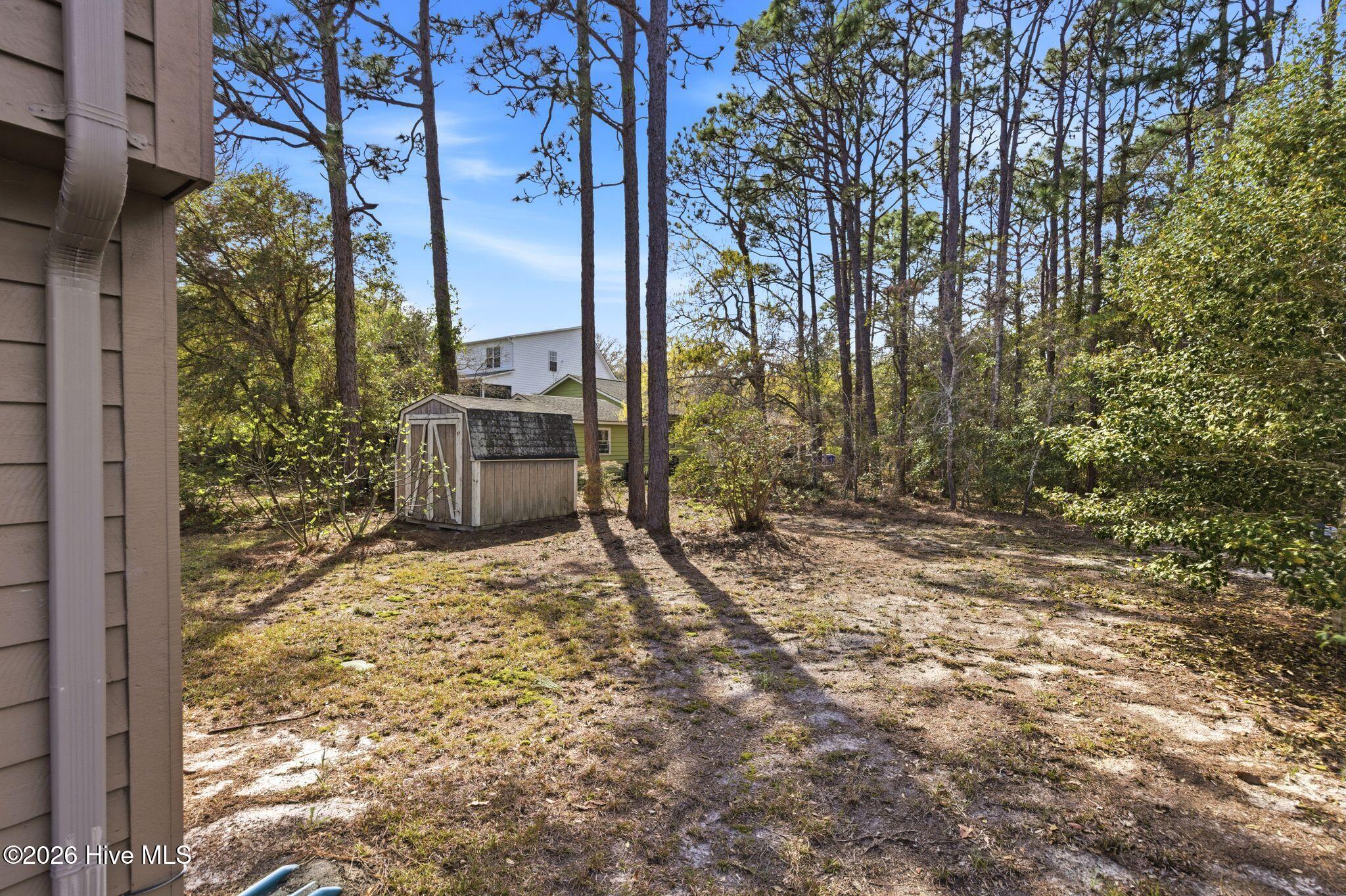 100564018 | Photo 50