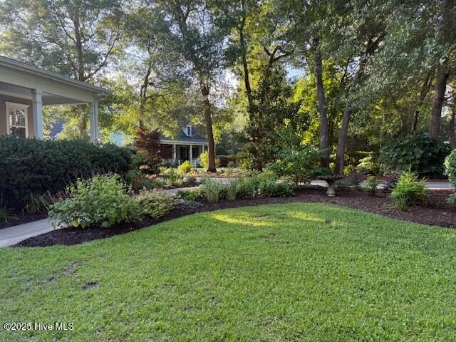 100538166 | Photo 43