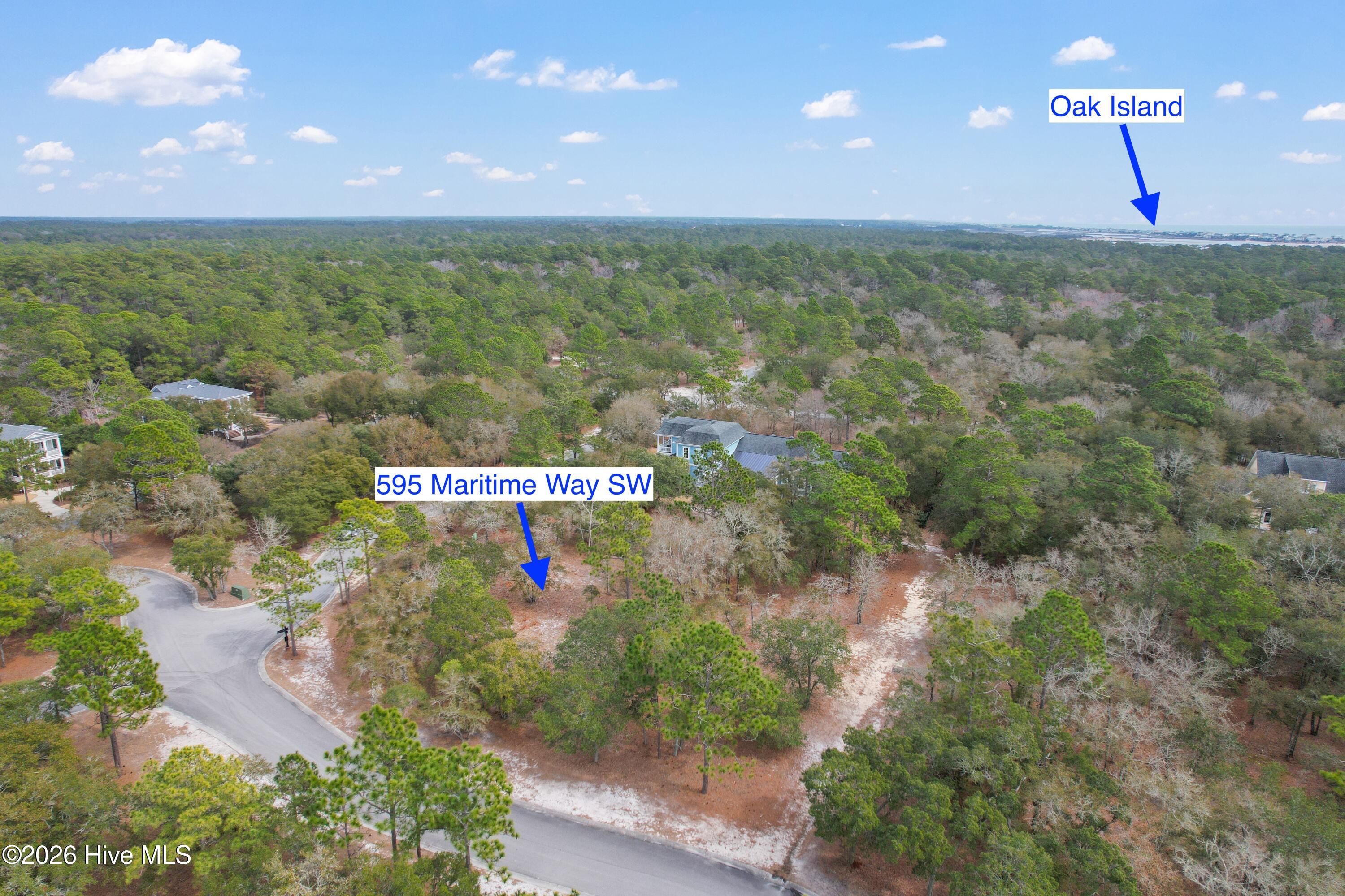 100548259 | Photo 19