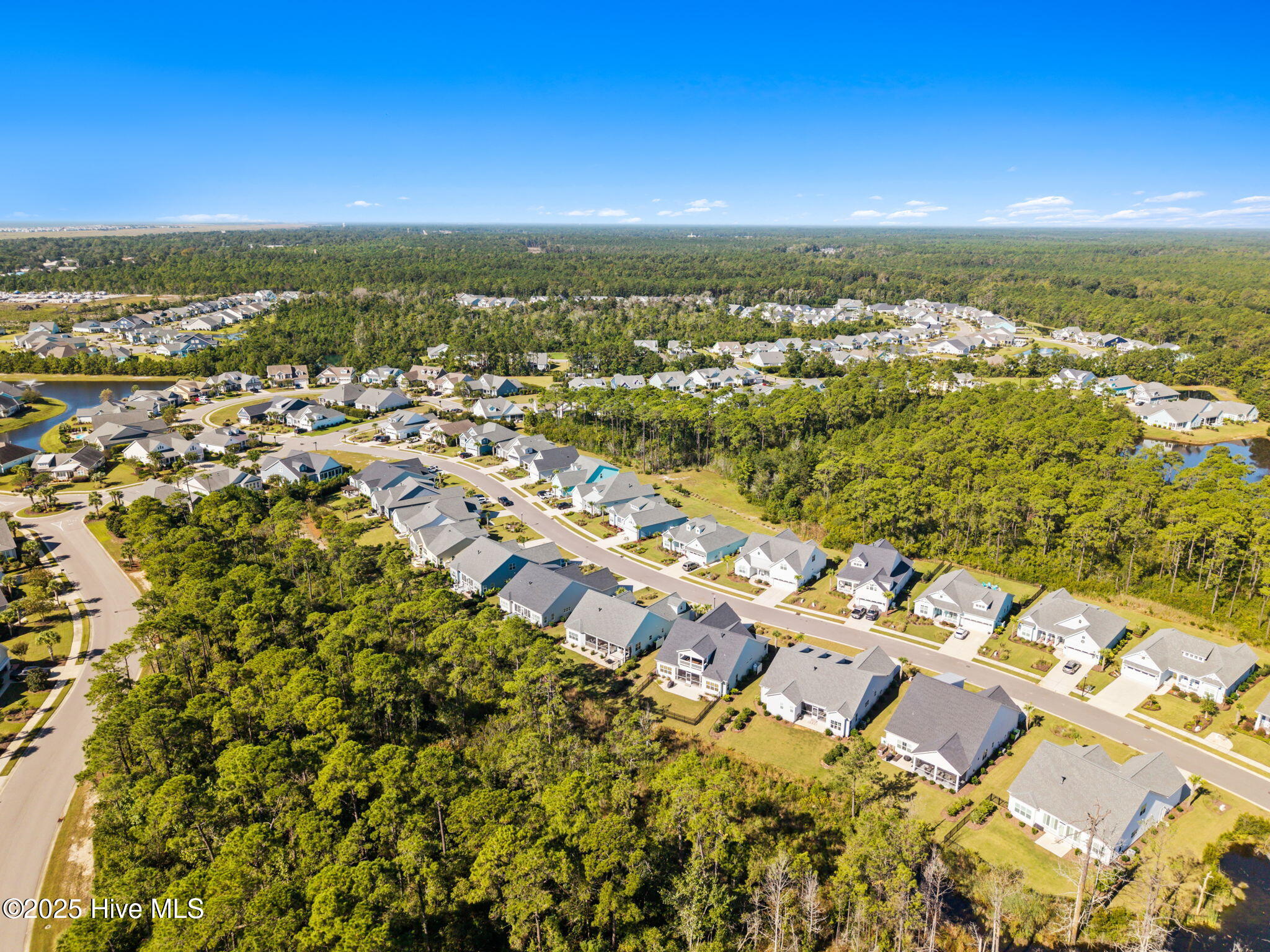 100534484 | Photo 68