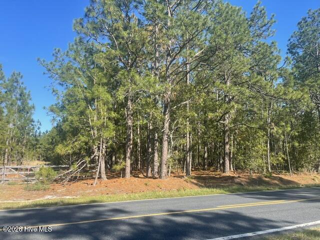 Homes for sale in Jackson Springs, NC | 1035 Flowers Rd, Jackson Springs, NC 27281 | MLS# 100589998