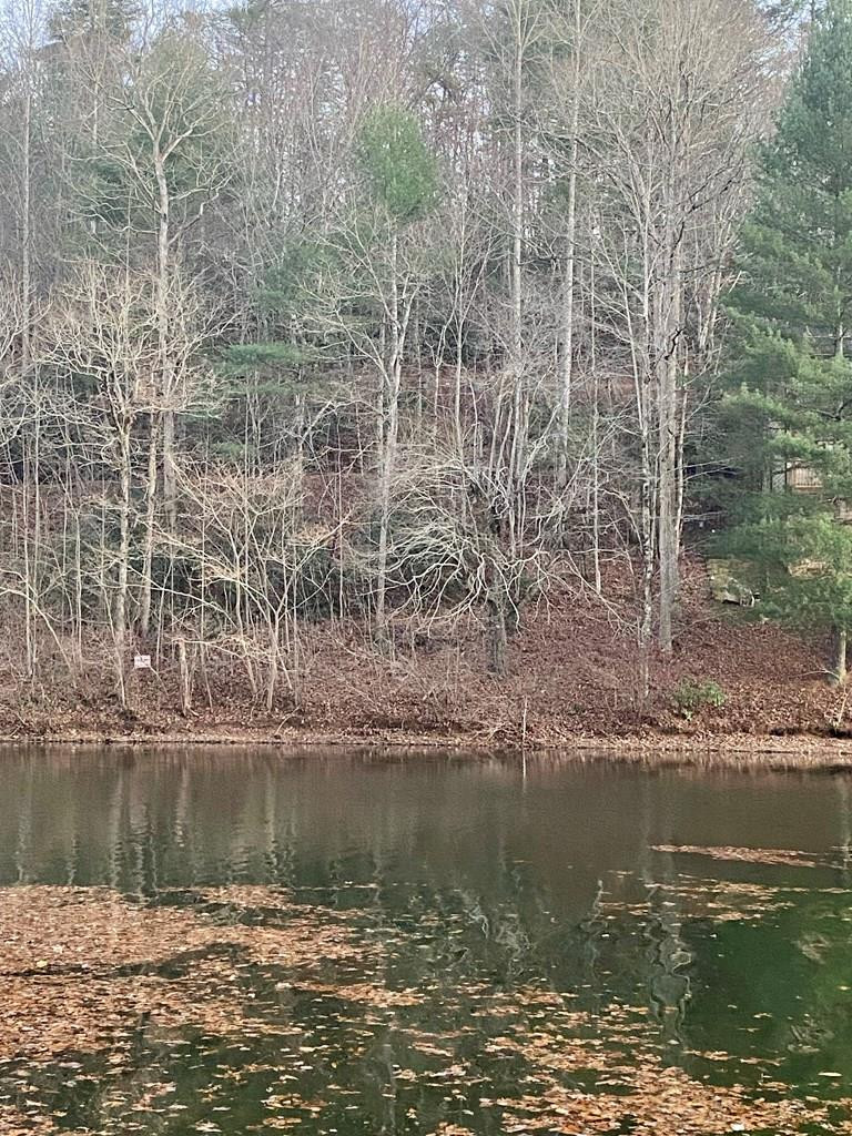 Lot 5 The Landings, Robbinsville, North Carolina, 0 ,For sale,The Landings,98524572 Lot 5 The Landings, Robbinsville, North Carolina, 0 ,For sale,The Landings,98524572