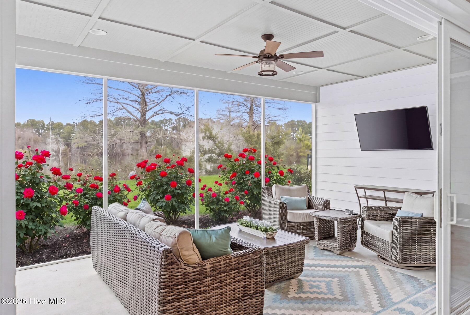 100551985 | Photo 22