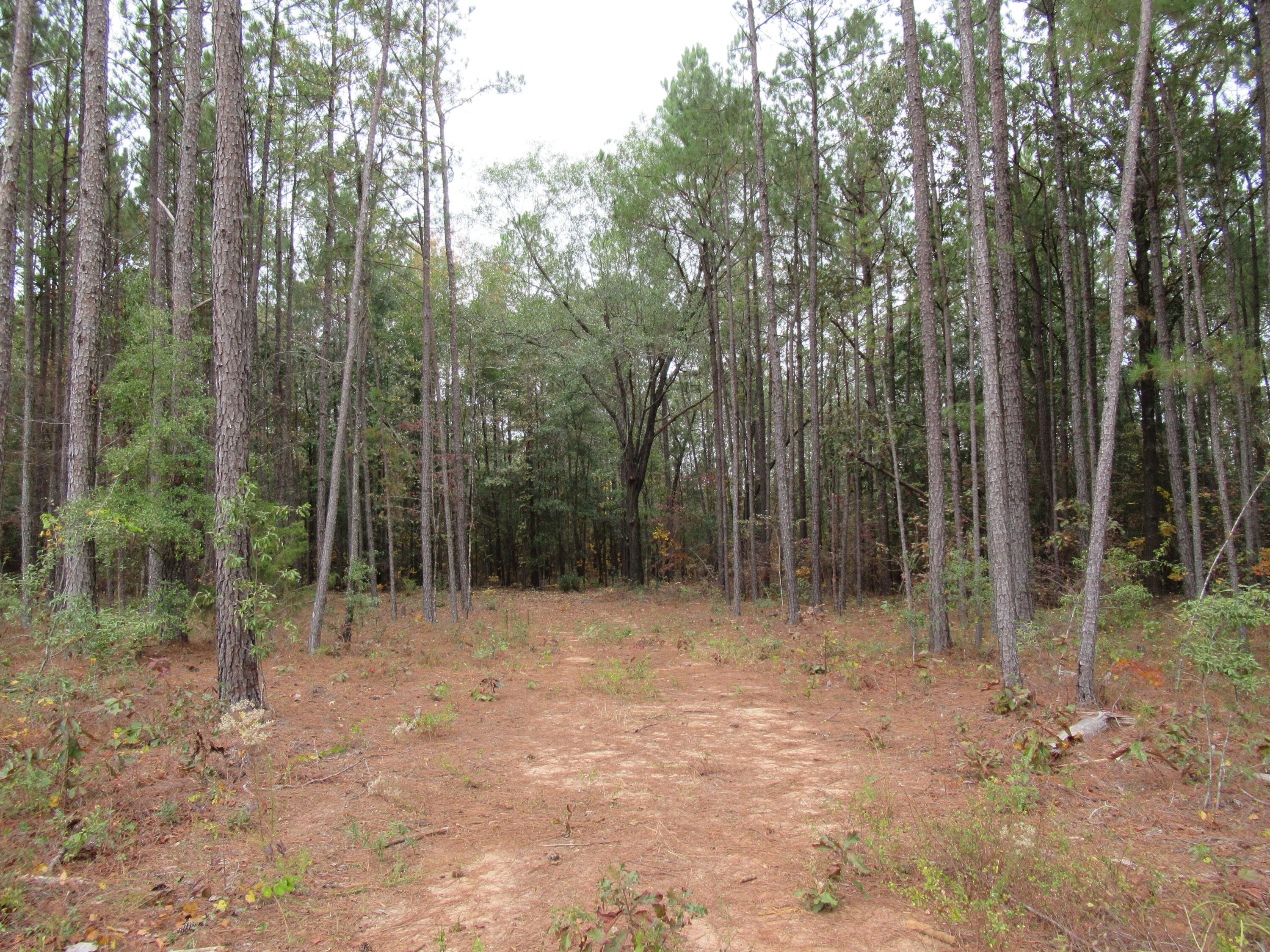0 TWIN PINES RD., Keysville, GA, 30816