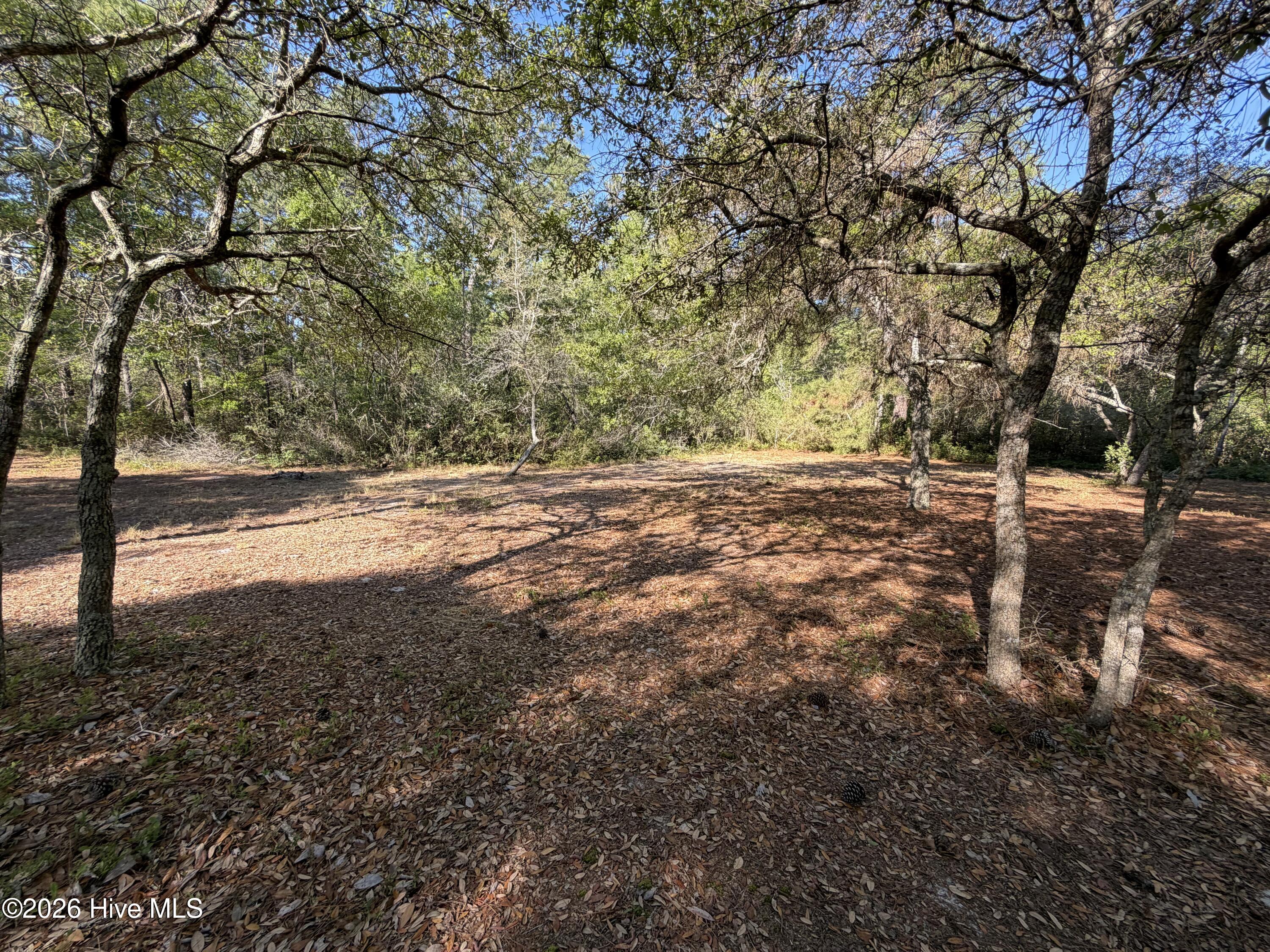 100569974 | Photo 18