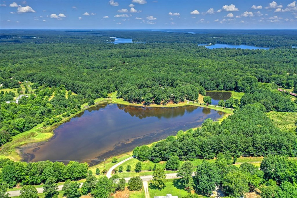 3297 Chamberlain Ferry Road, Lincolnton, GA 30817 Listing Photo  72