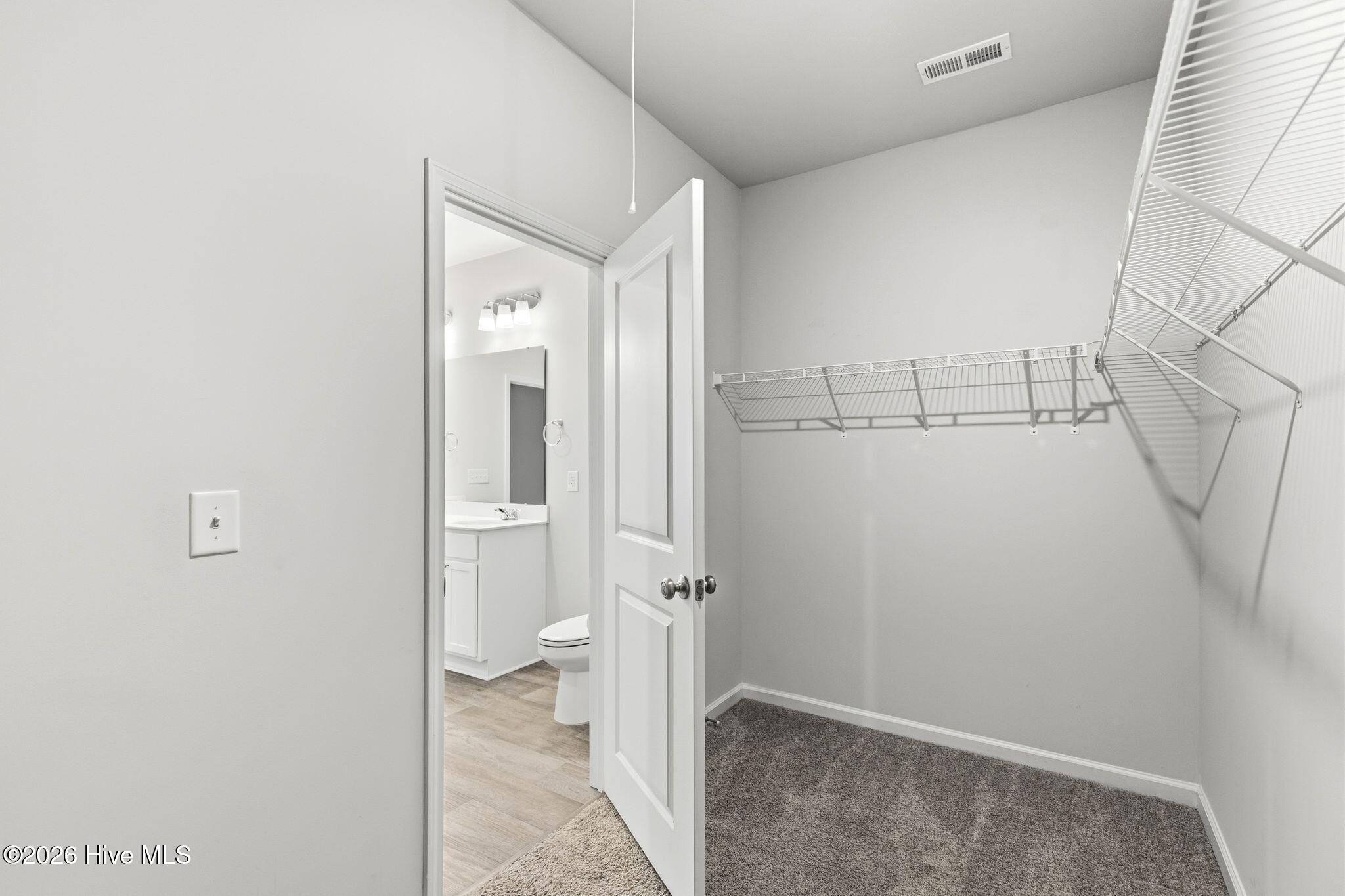 100556772 | Photo 25