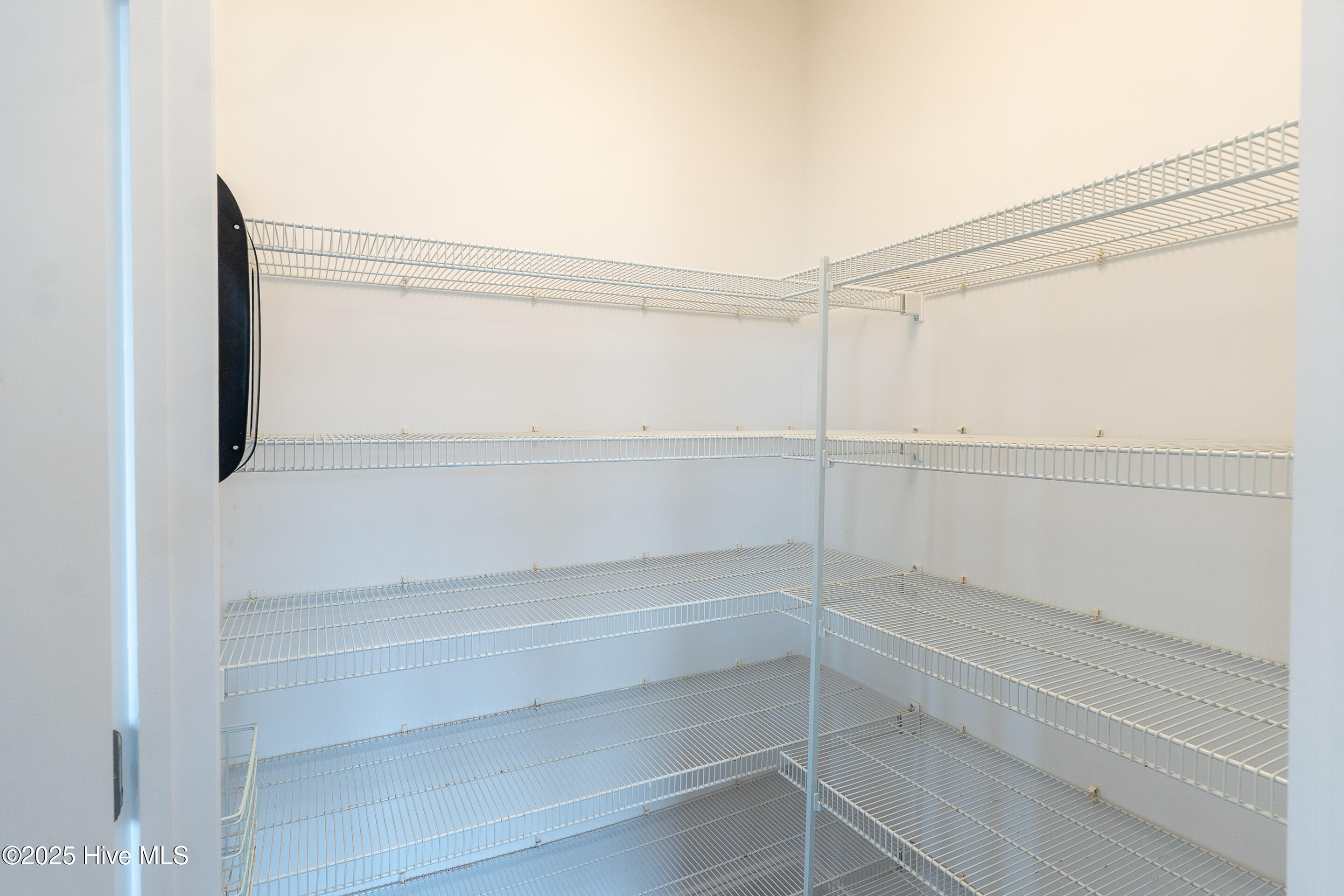 100506619 | Photo 15