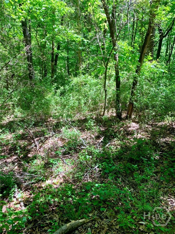 Homes for sale in Commerce, GA | 0 Martin Luther King Jr Dr, Commerce, GA 30529 | MLS# CL336436