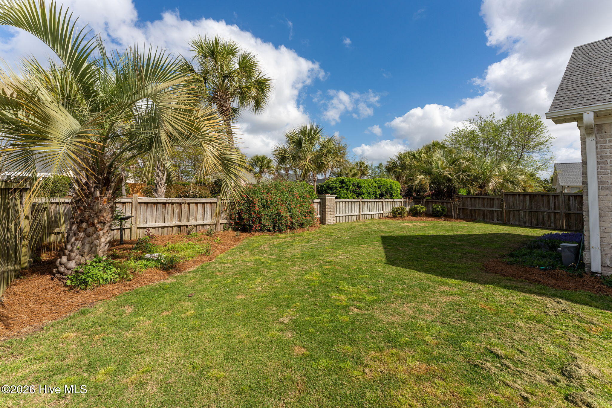 100564591 | Photo 29