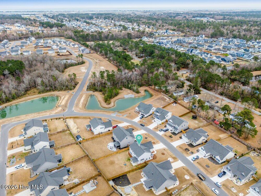 100558319 | Photo 35