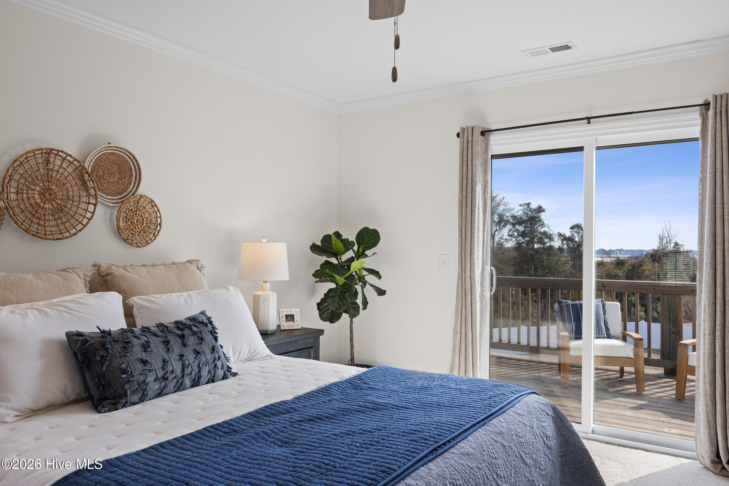 100555397 | Photo 33