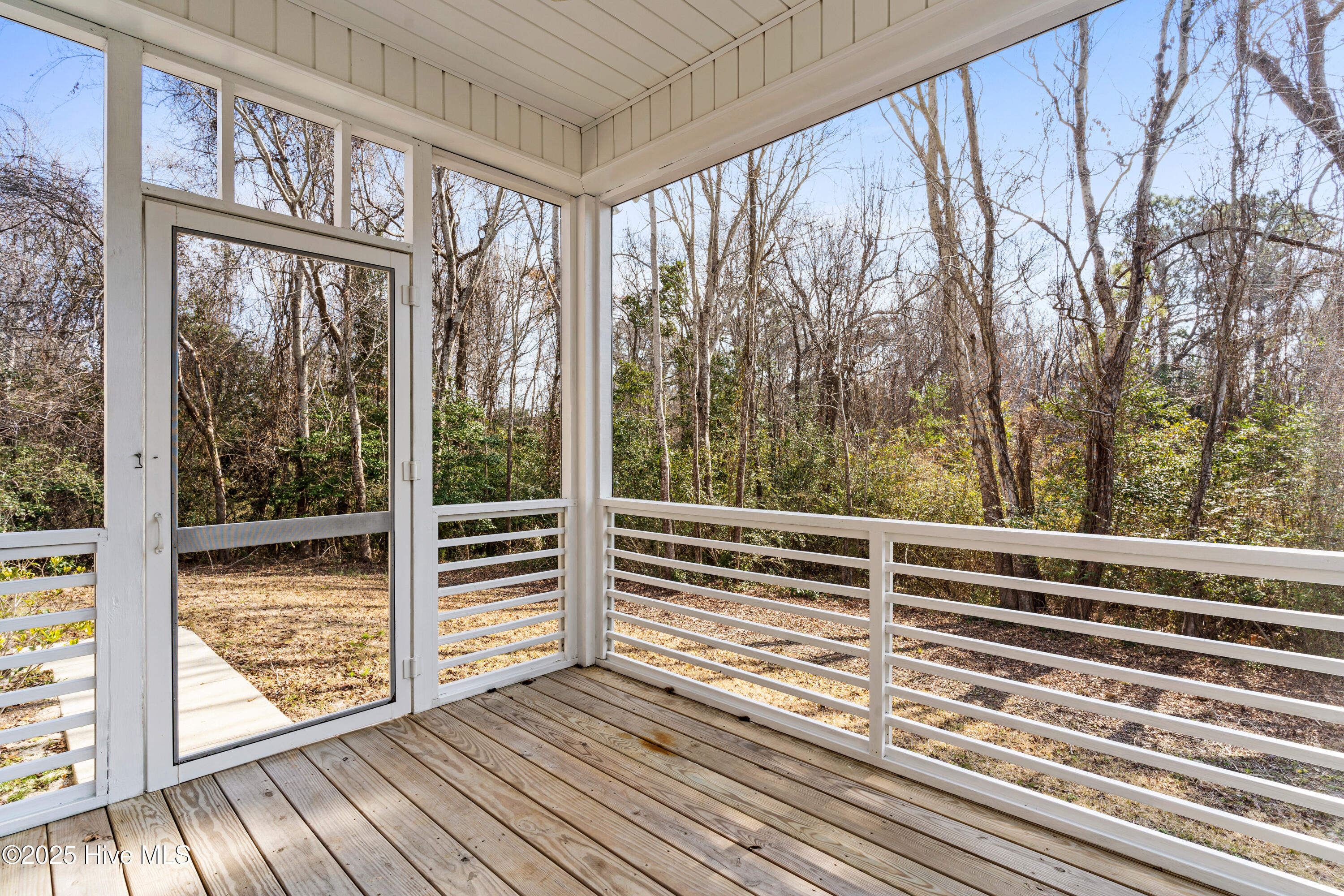 100529513 | Photo 43