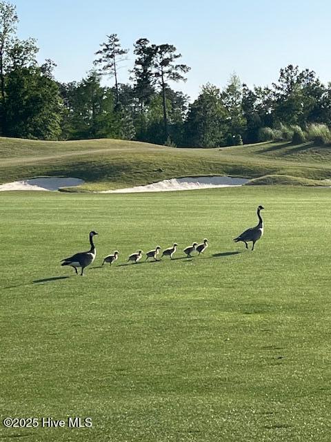 100541095 | Photo 58