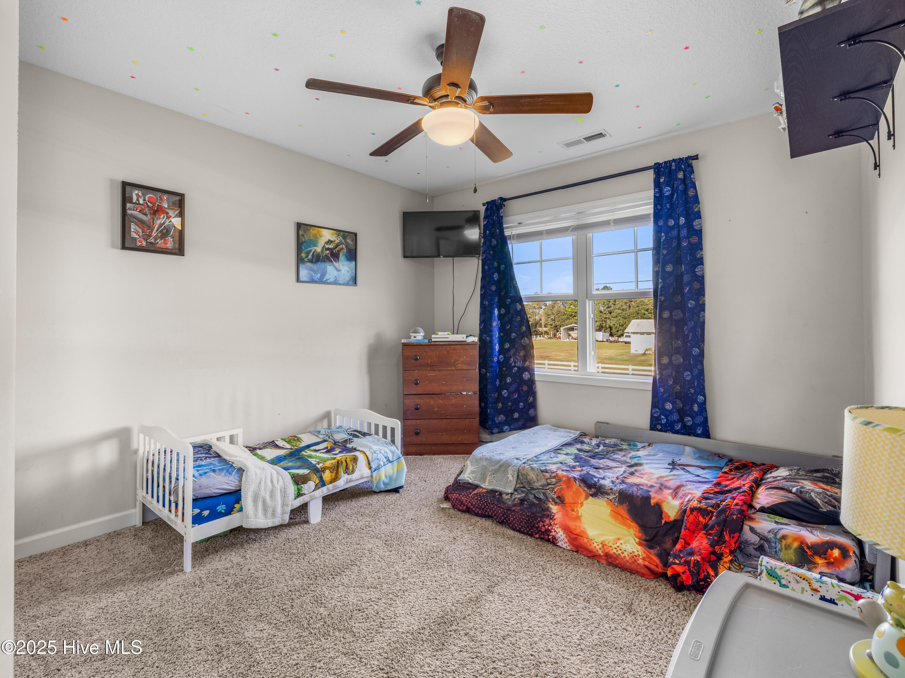 100538122 | Photo 34