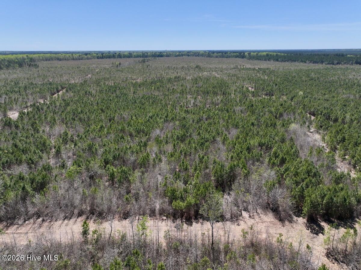 0 Guinea Mill Road, Ernul, NC, 28527