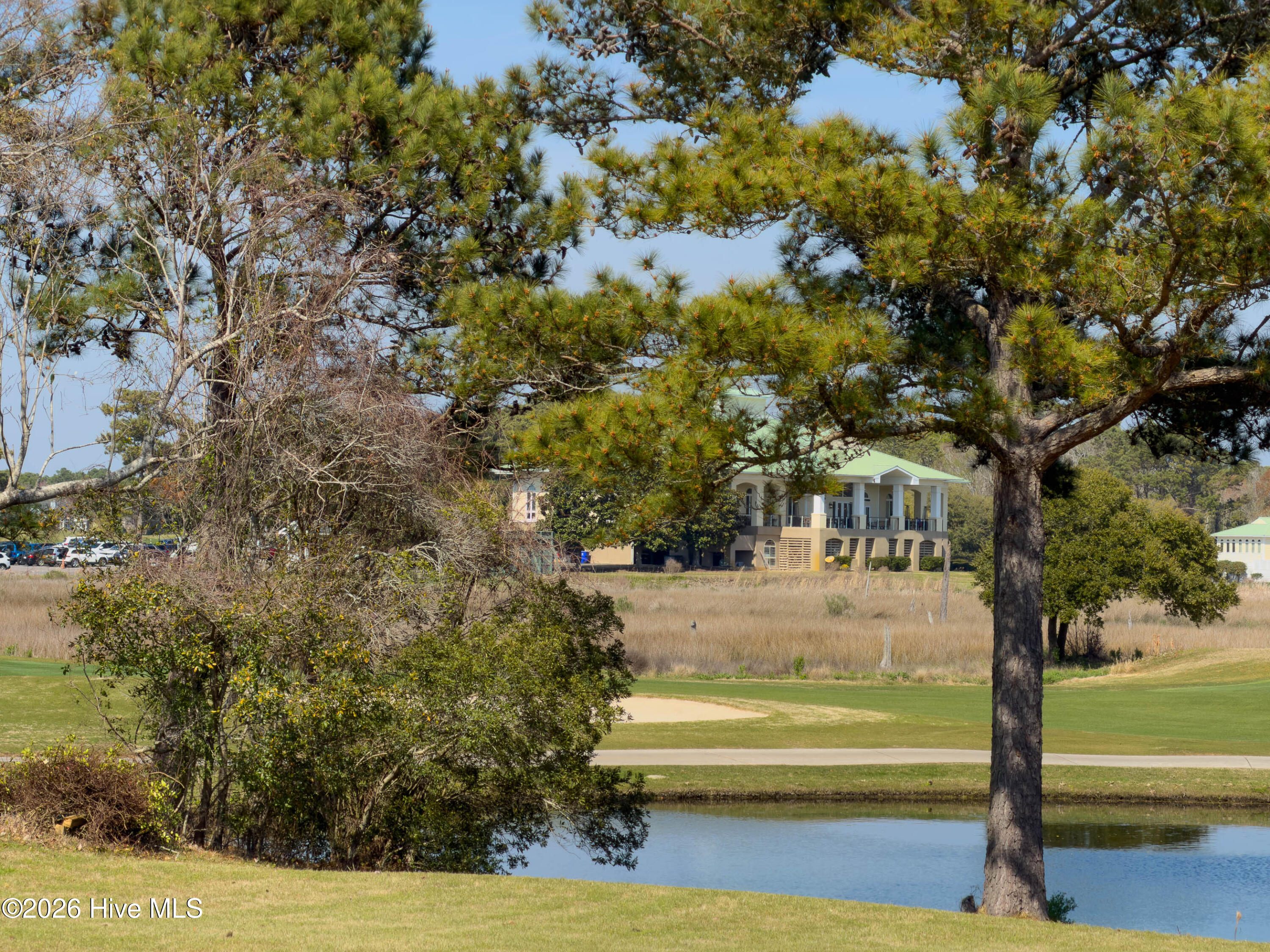 100564038 | Photo 55