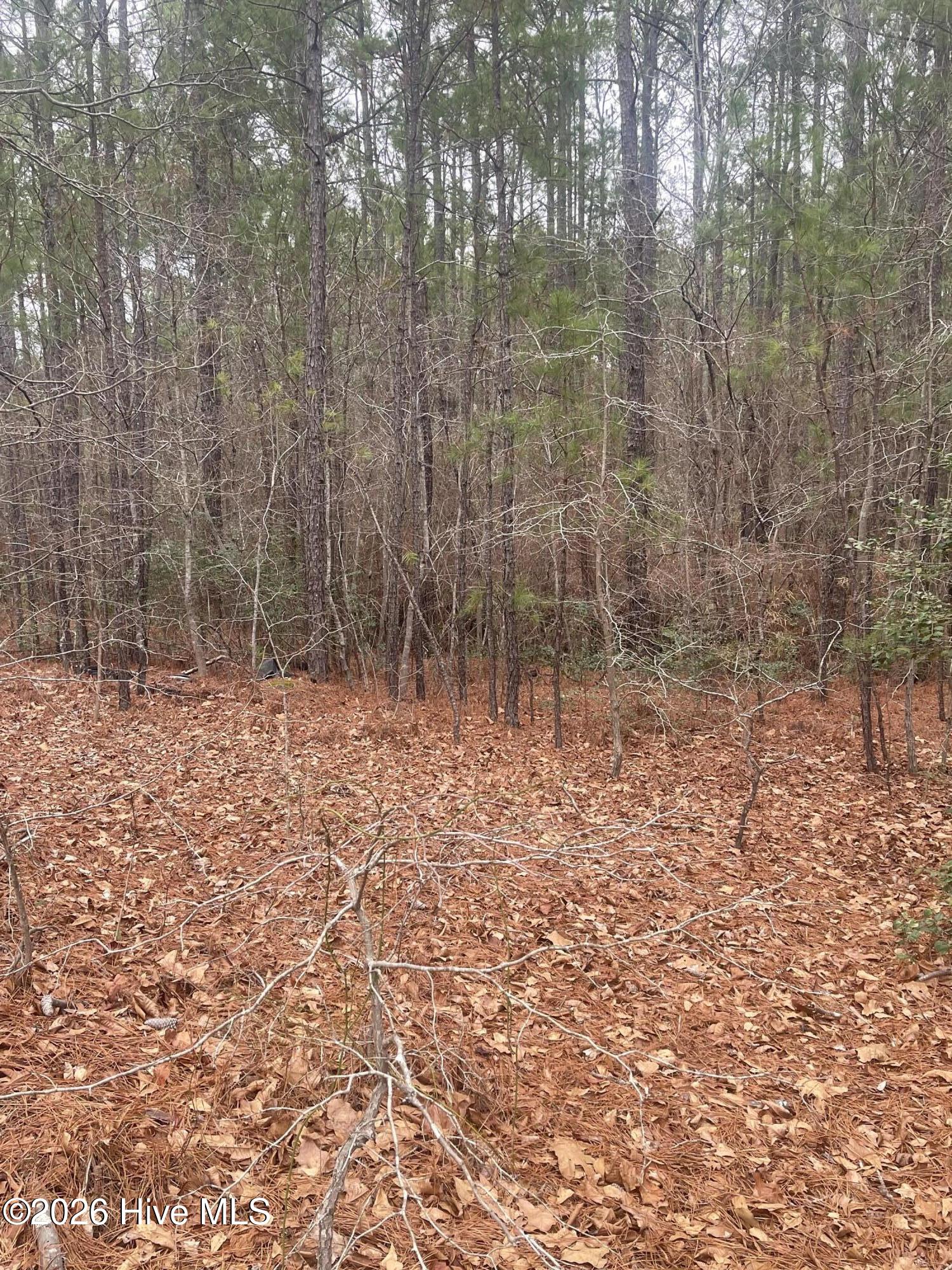 Exterior photo of Lot # 7 Bumpy Lane, Sanford, NC 27332. MLS: 100590914