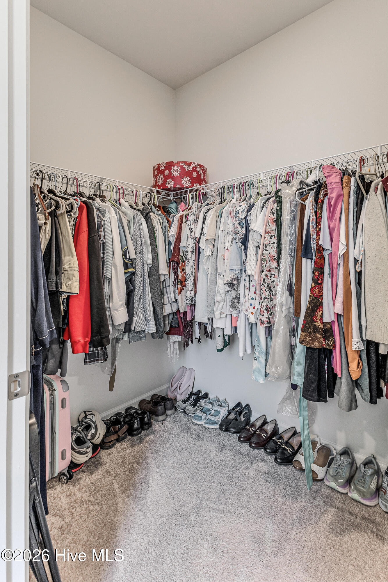 100566455 | Photo 30