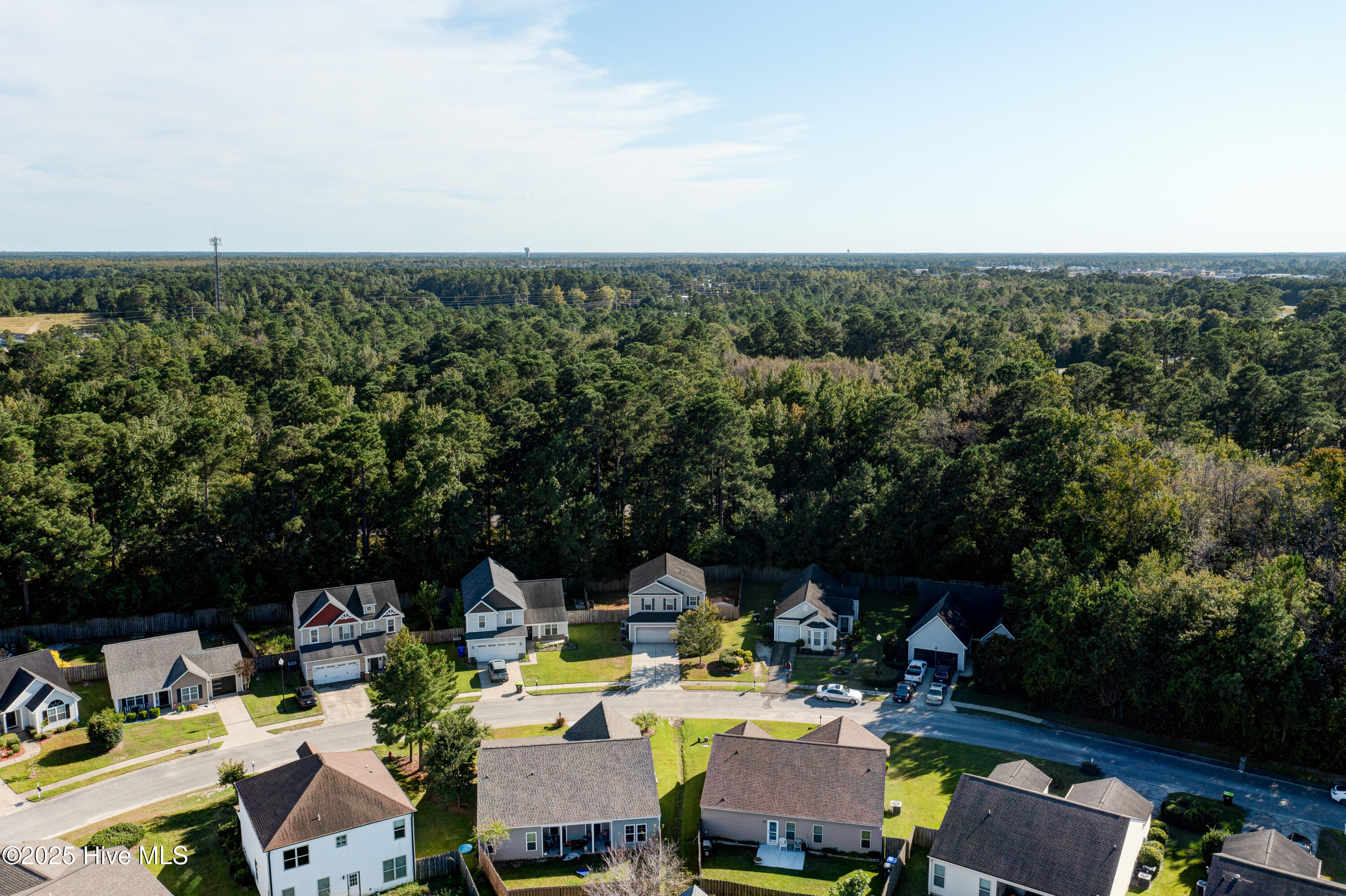 100530947 | Photo 52