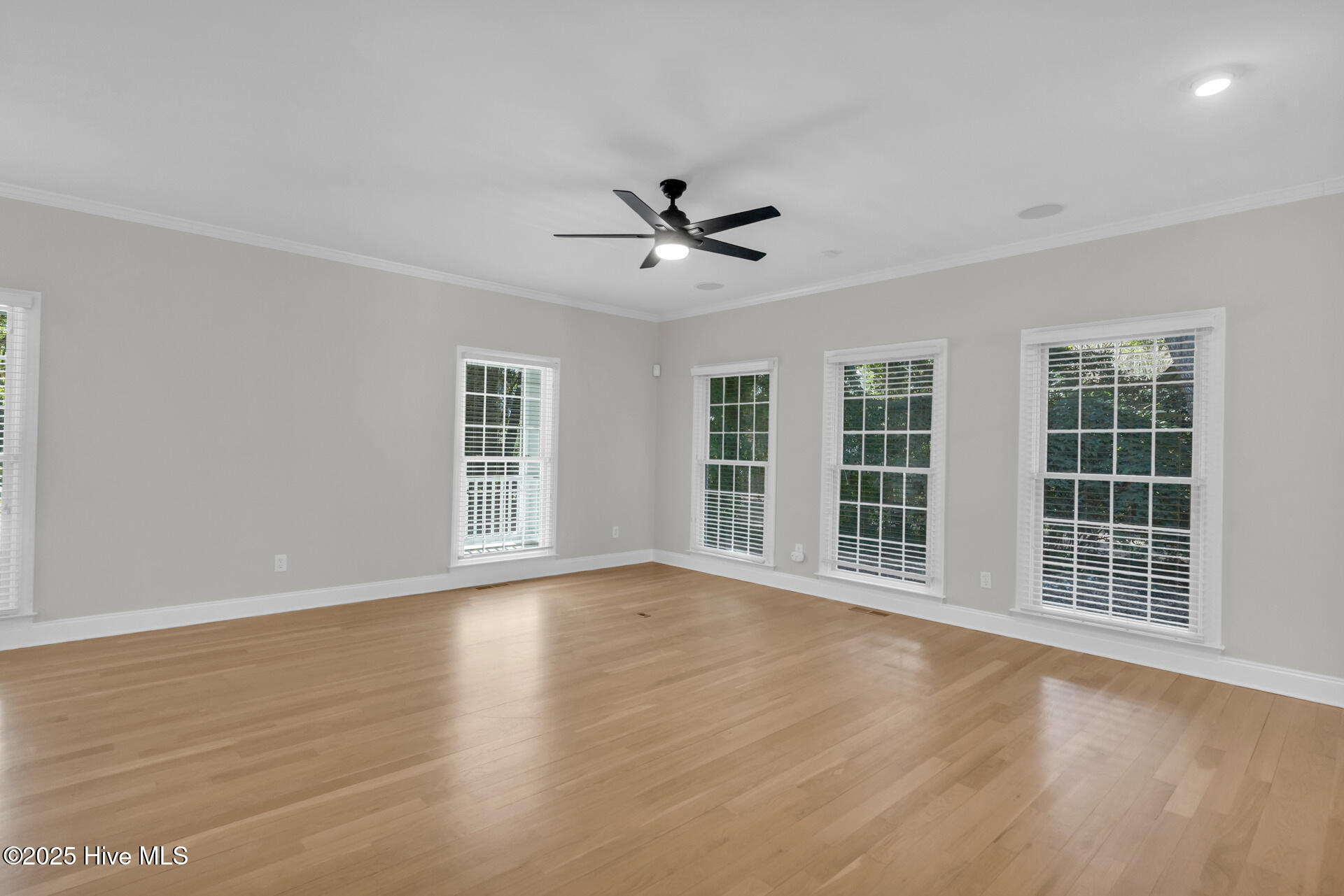 100532167 | Photo 12