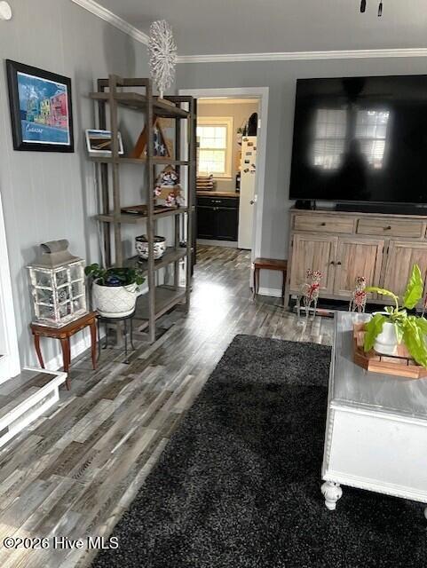 100546240 | Photo 33