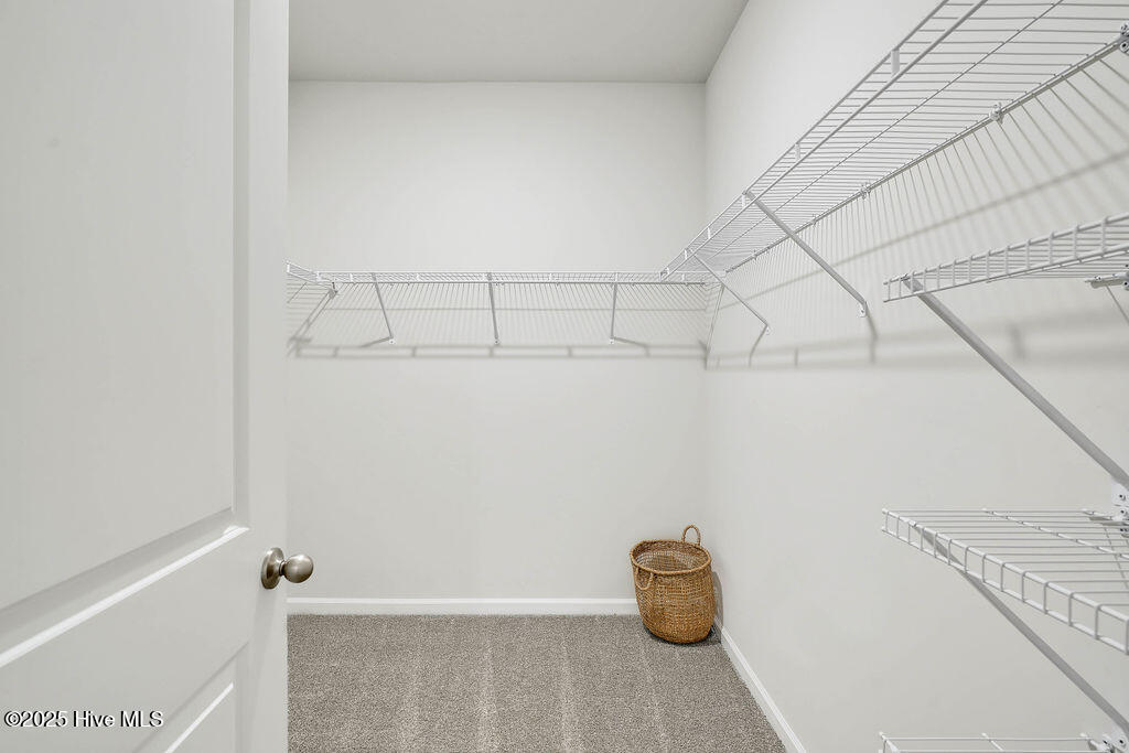 100531581 | Photo 21