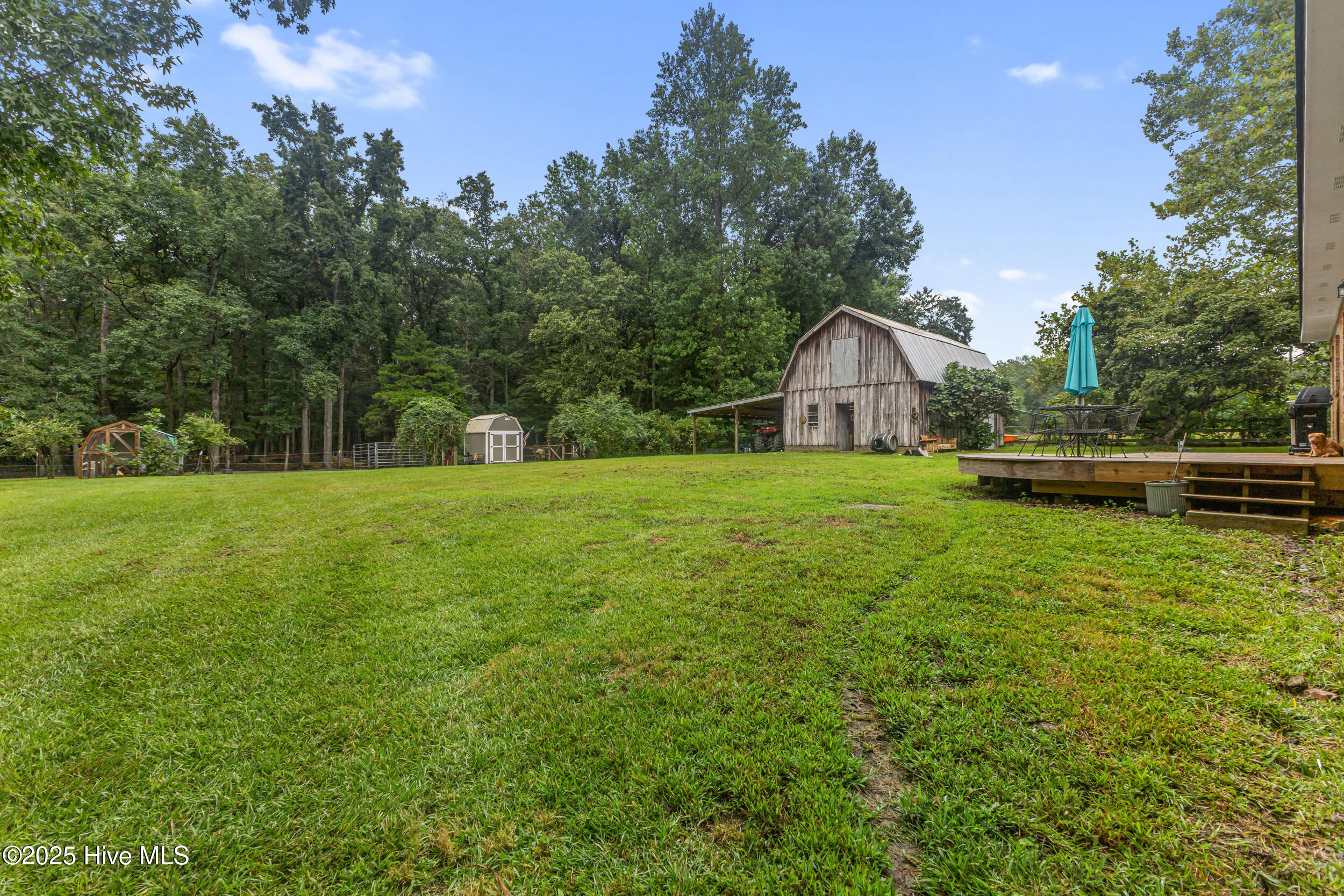 100524507 | Photo 31