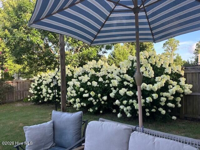 100566118 | Photo 54