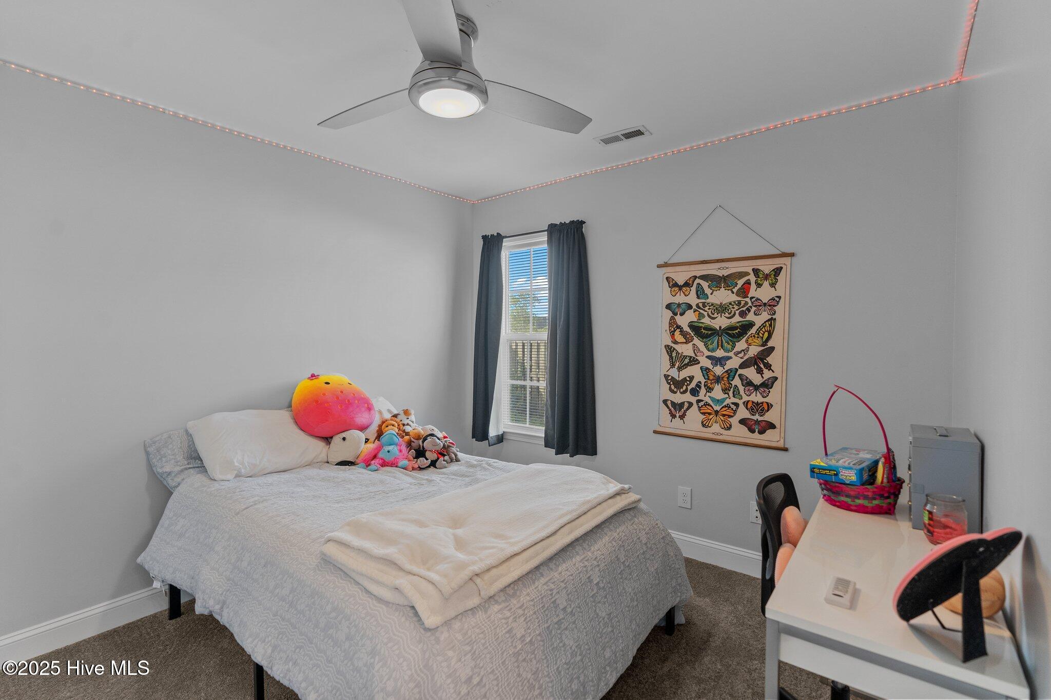 100504598 | Photo 24