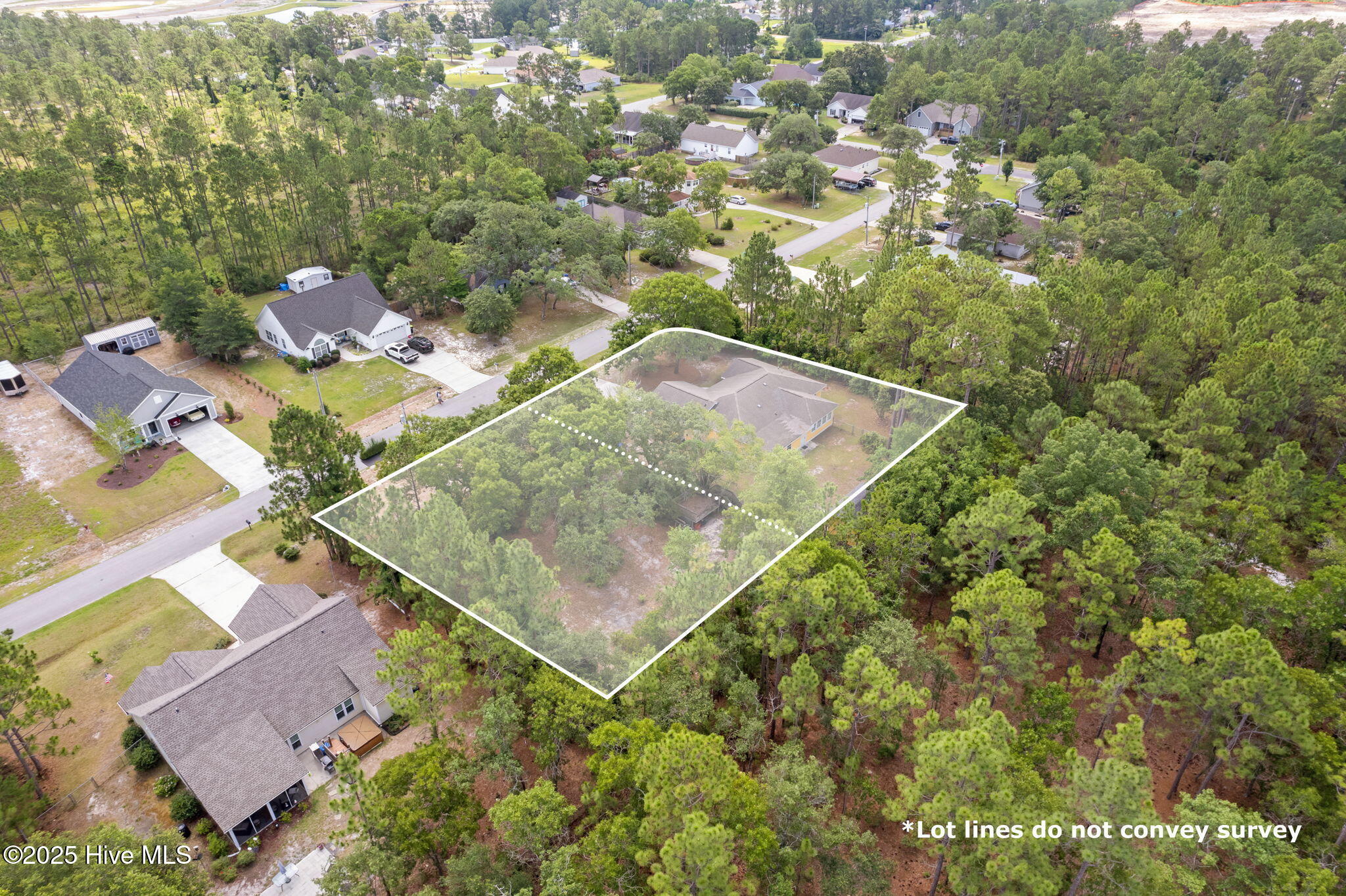 100551974 | Photo 47