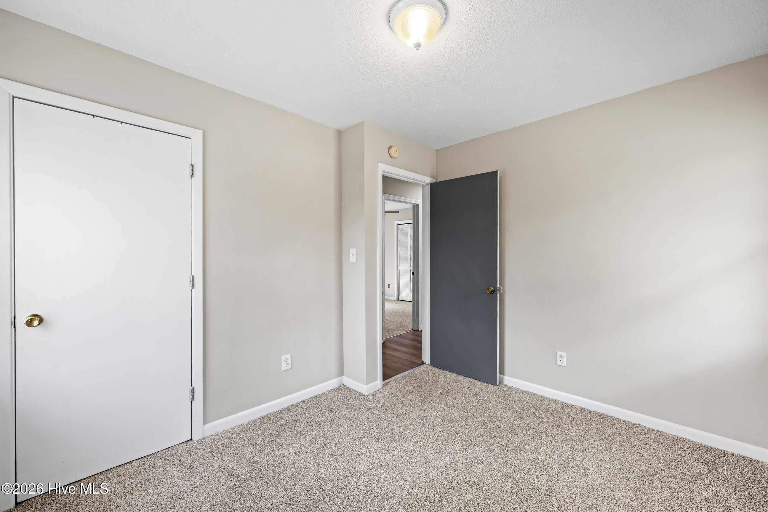 100559585 | Photo 18