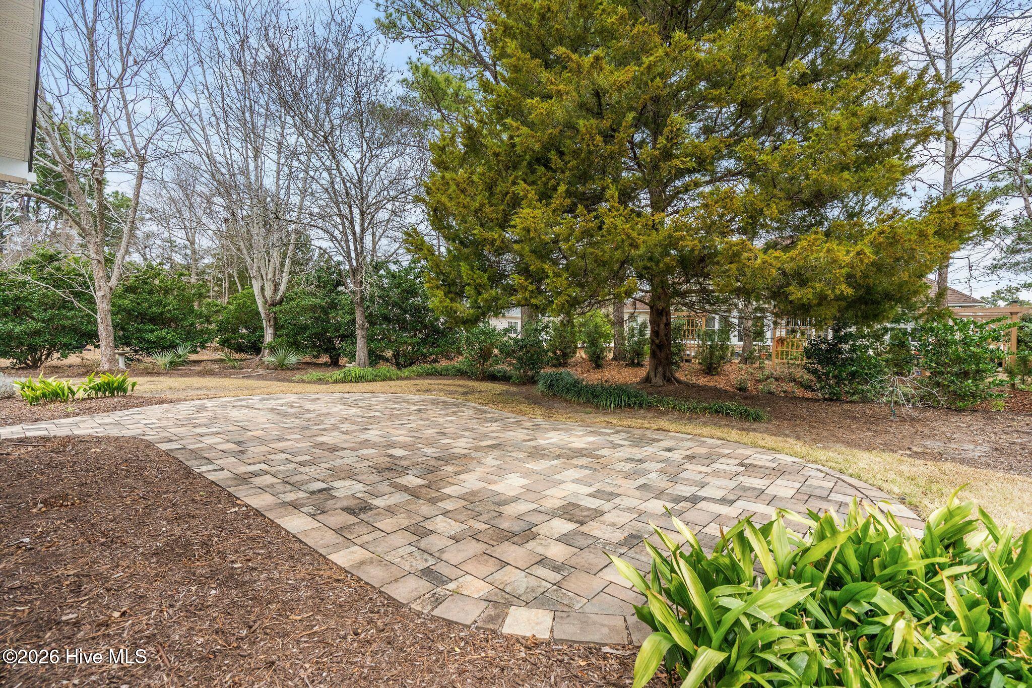 100552606 | Photo 43