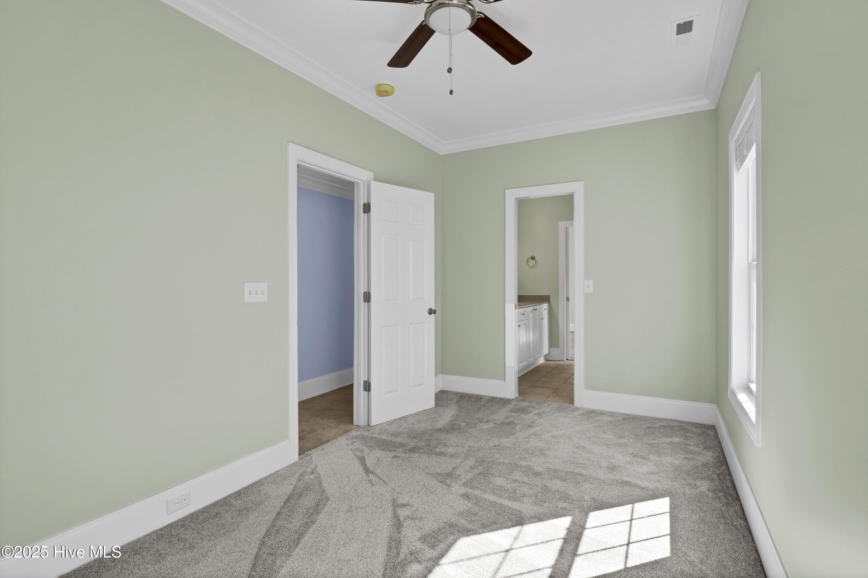 100546840 | Photo 12