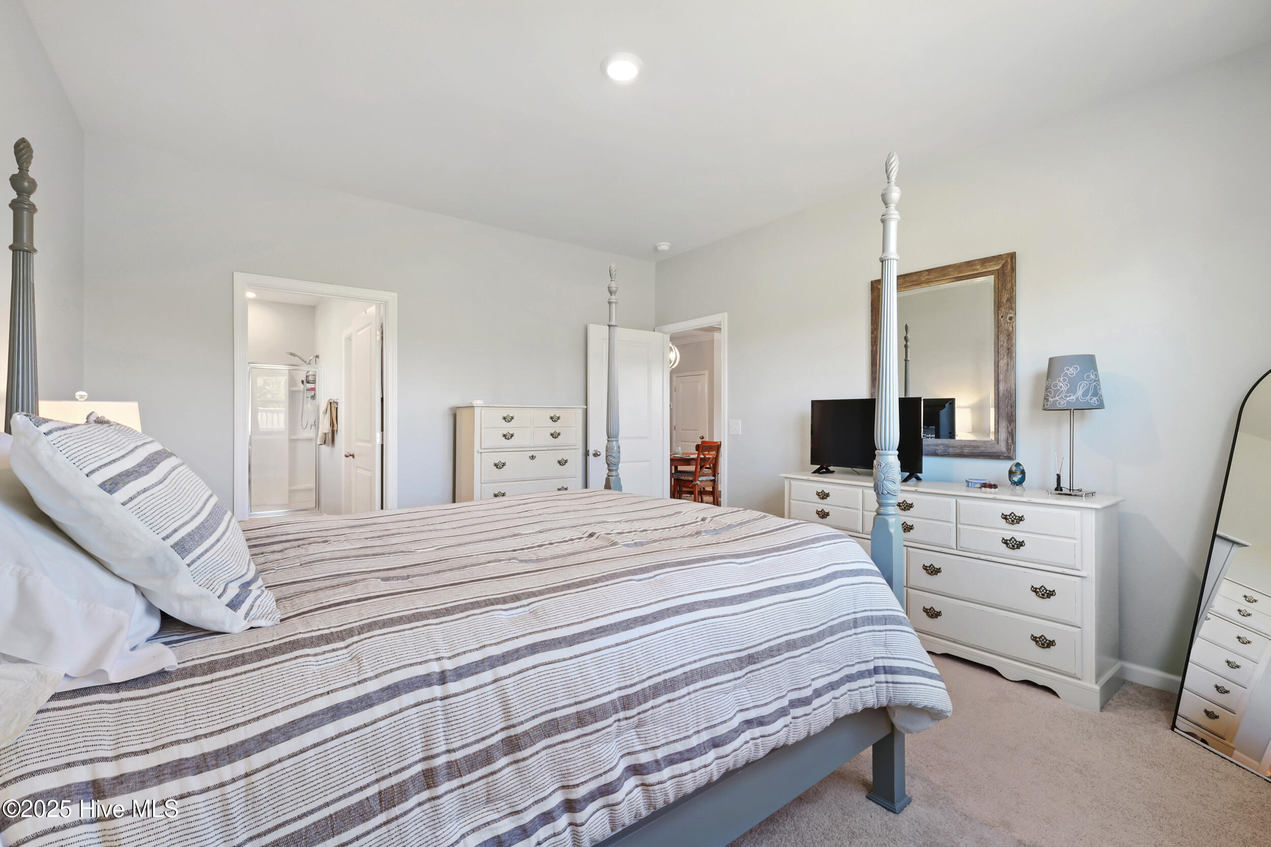 100529036 | Photo 13