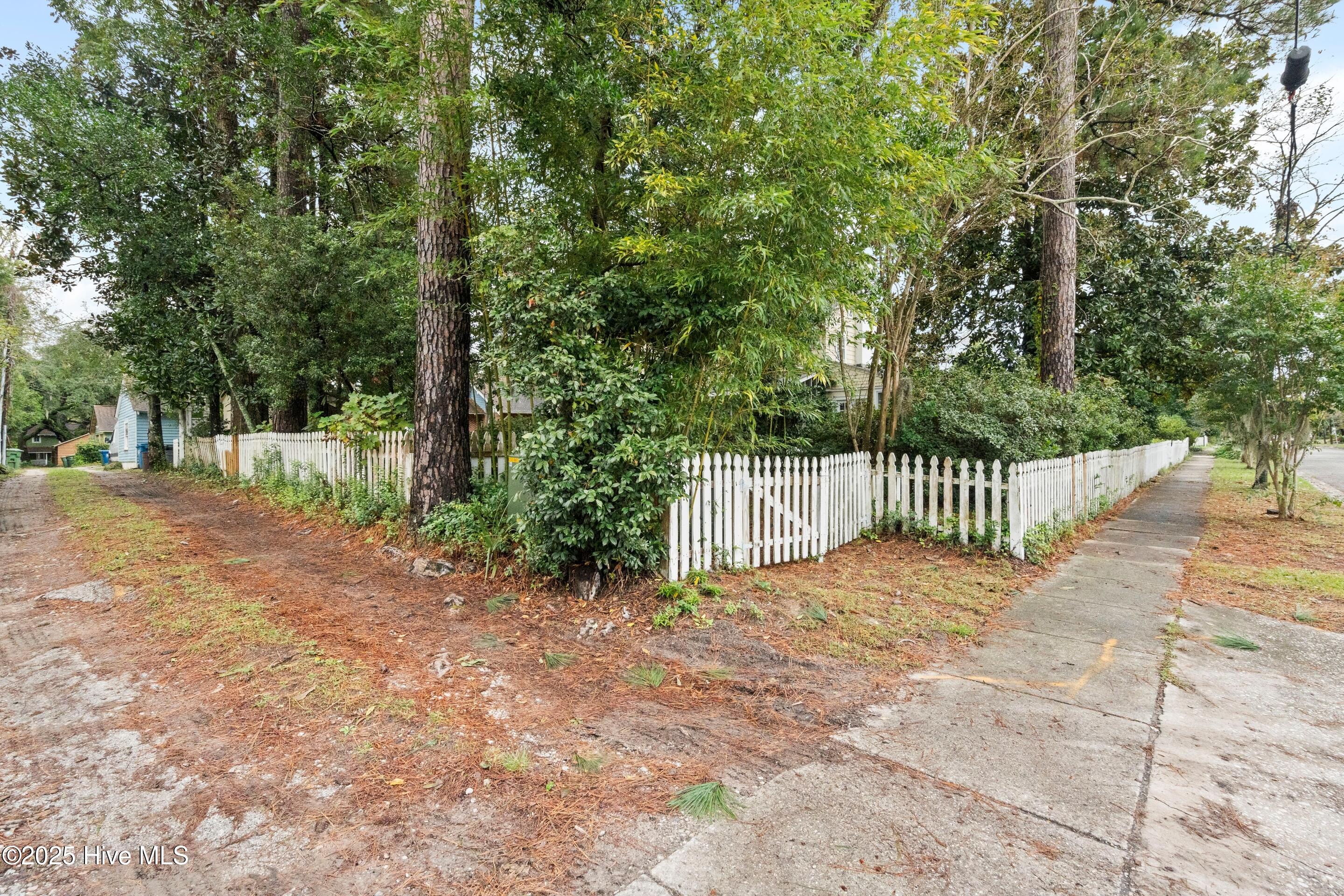 100553658 | Photo 67