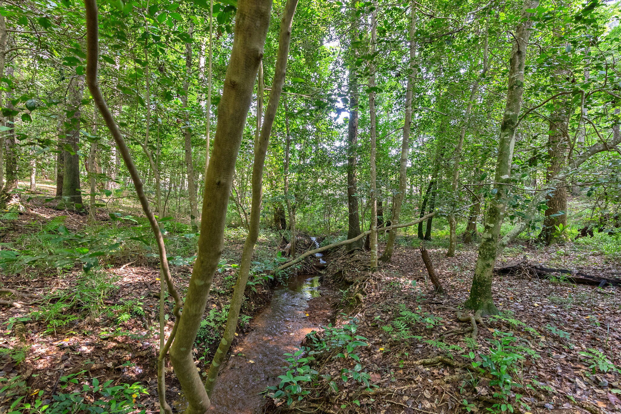 LOT 7 WOODSPRING Court, North Augusta, SC, 29860