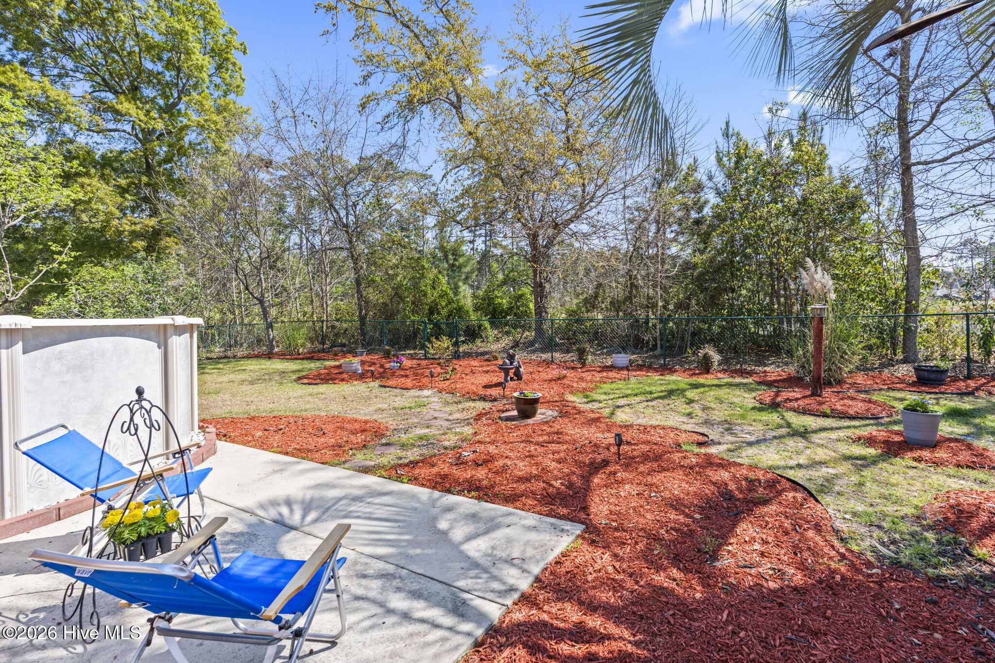 100563458 | Photo 34