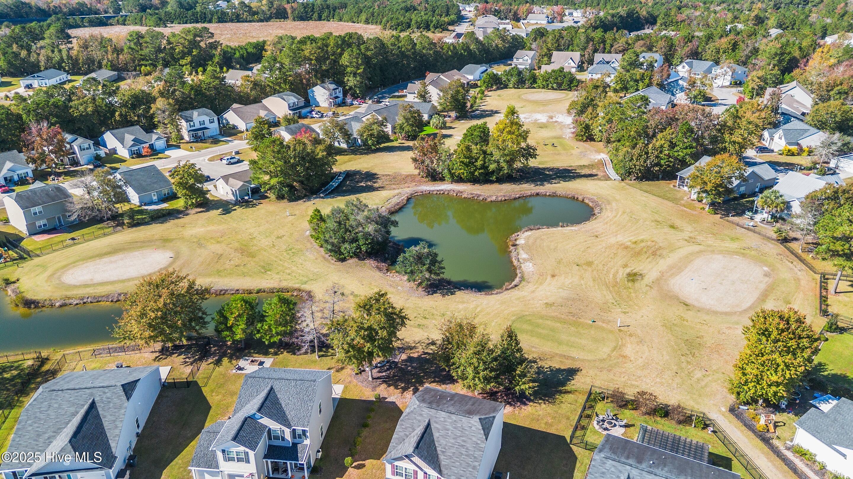 100539921 | Photo 32