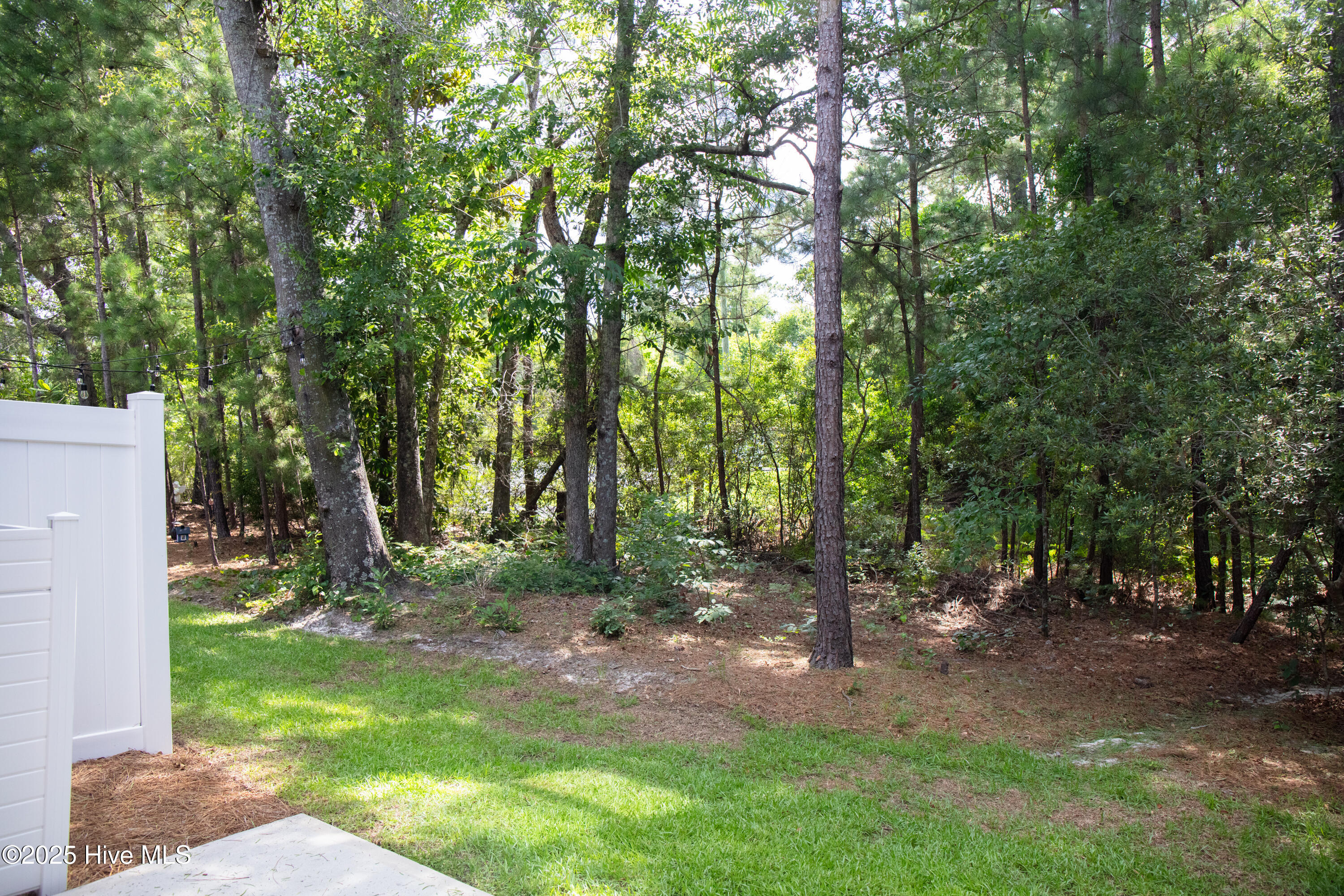 100507090 | Photo 14