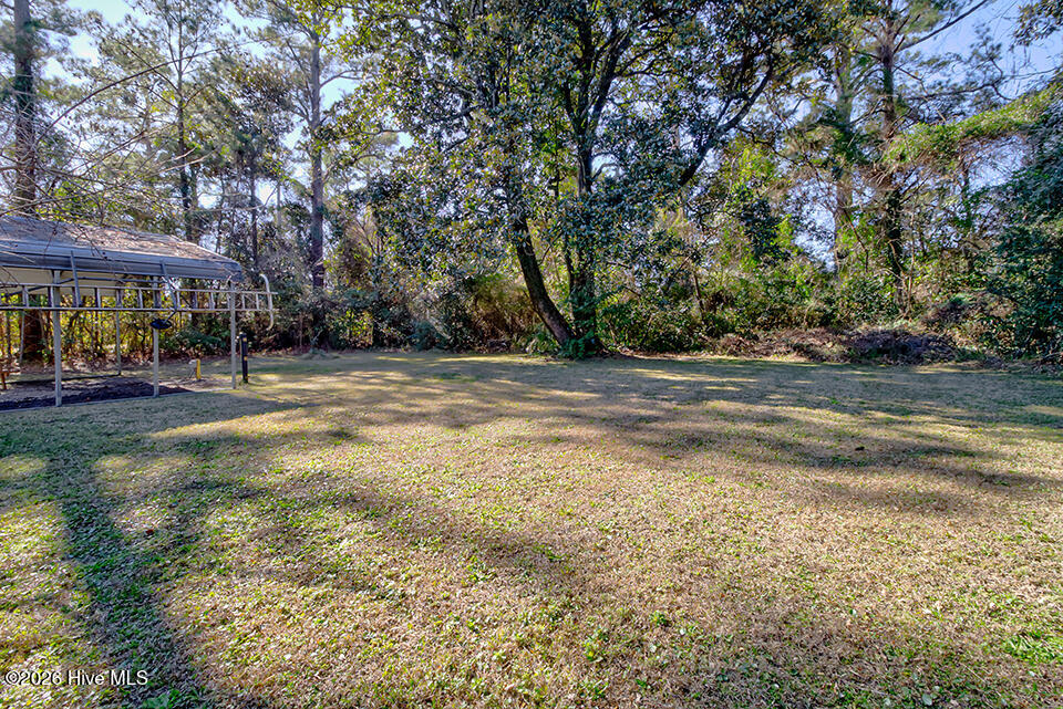 100550218 | Photo 52