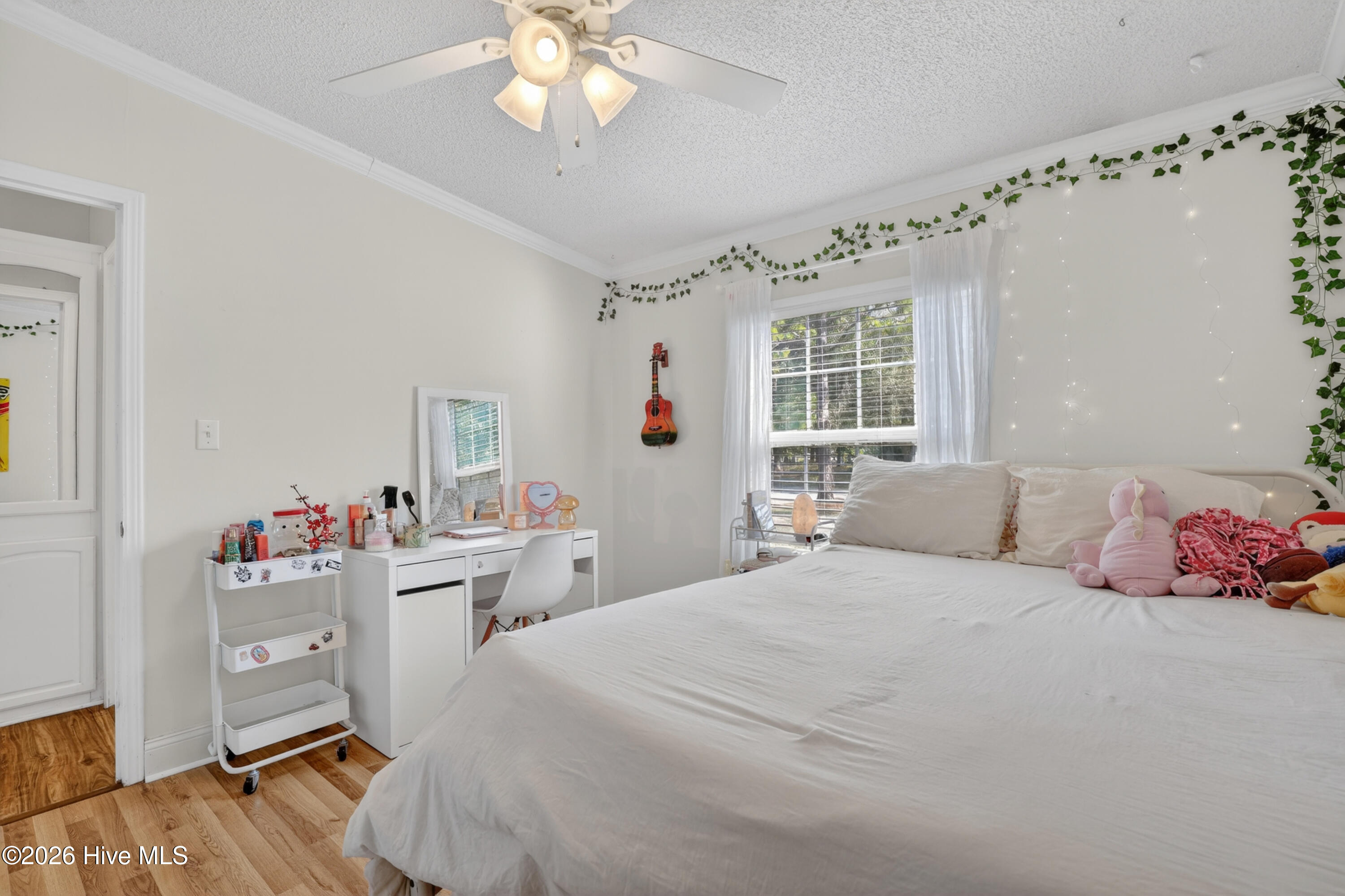 100568101 | Photo 19